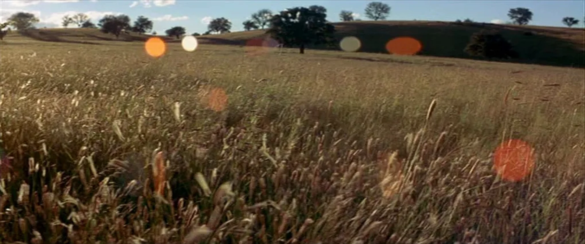 Silent Light (2007)