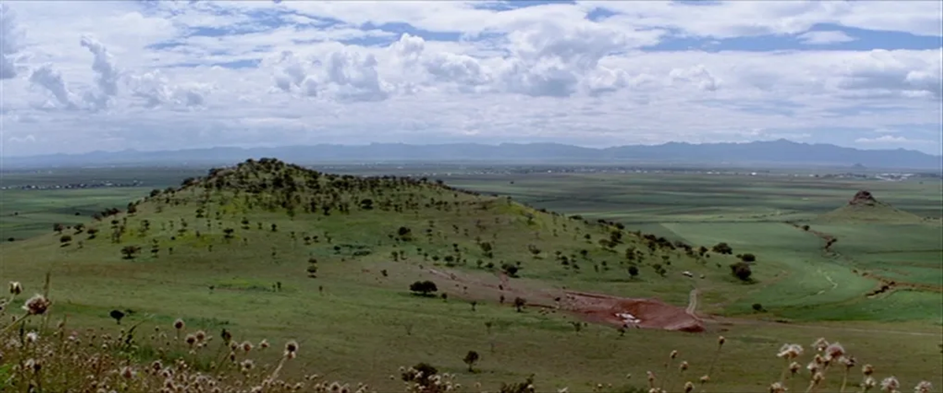 Silent Light (2007)