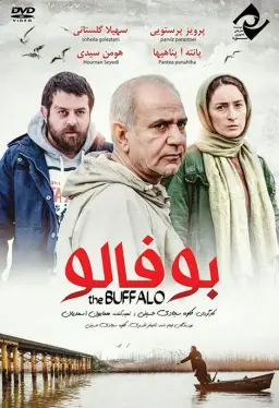 بوفالو ۱۳۹۳