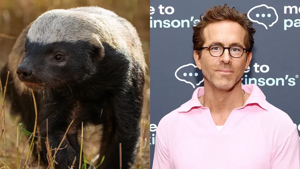 رایان رینولدز و مستند جدیدش درباره بازندگان طبیعت