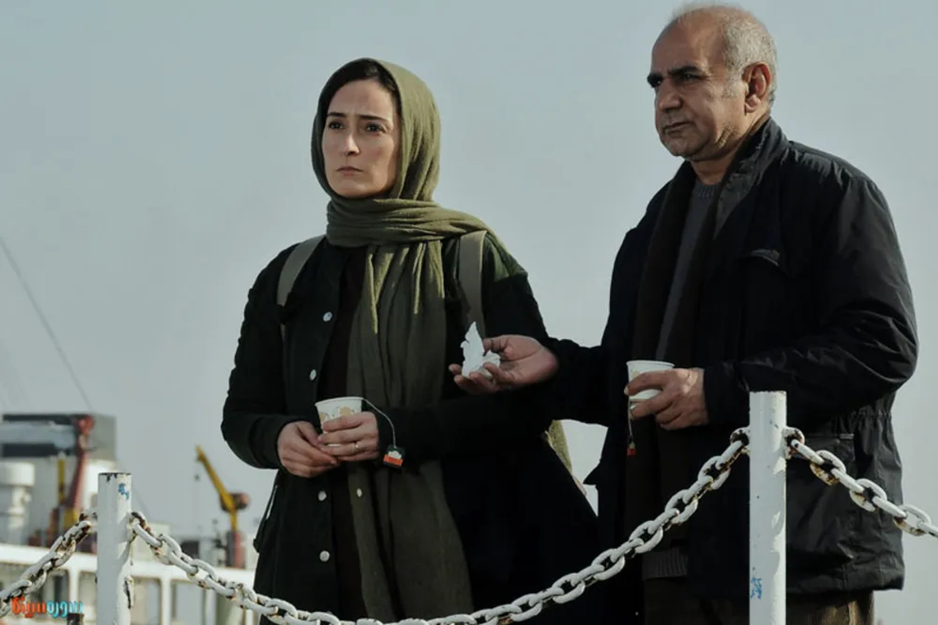 Parviz Parastui and Soheila Golestani in The Buffalo (2015)