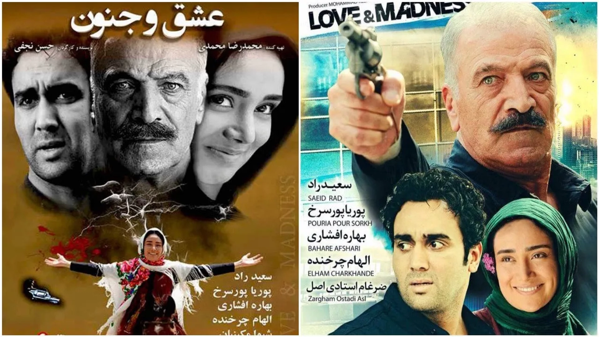 Saeed Rad, Pouria Poursorkh, and Bahare Afshari in Love and Madness (2015)