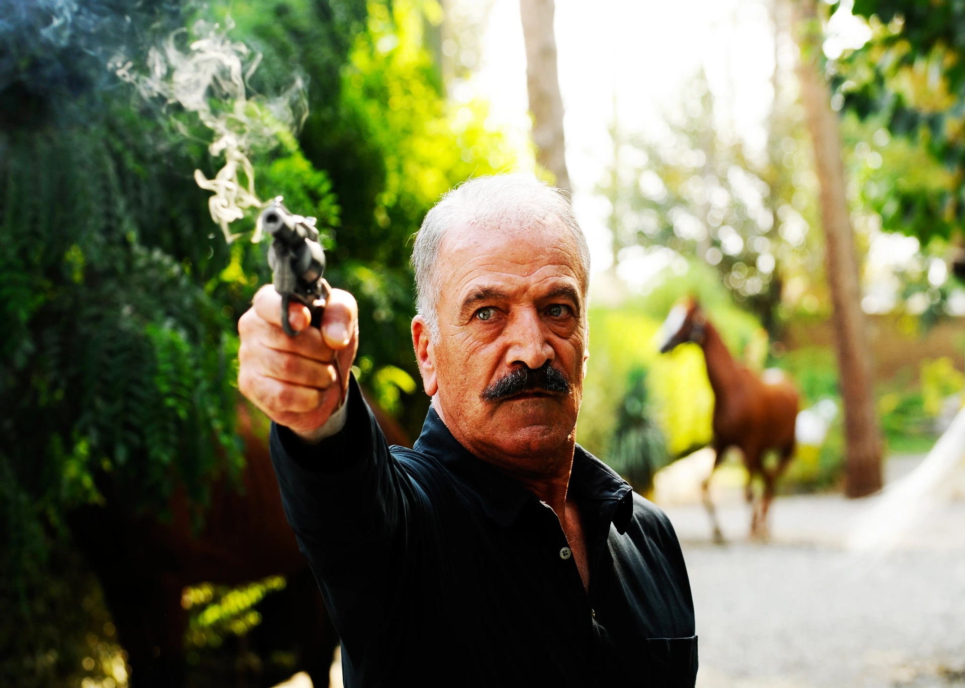 Saeed Rad in Love and Madness (2015)