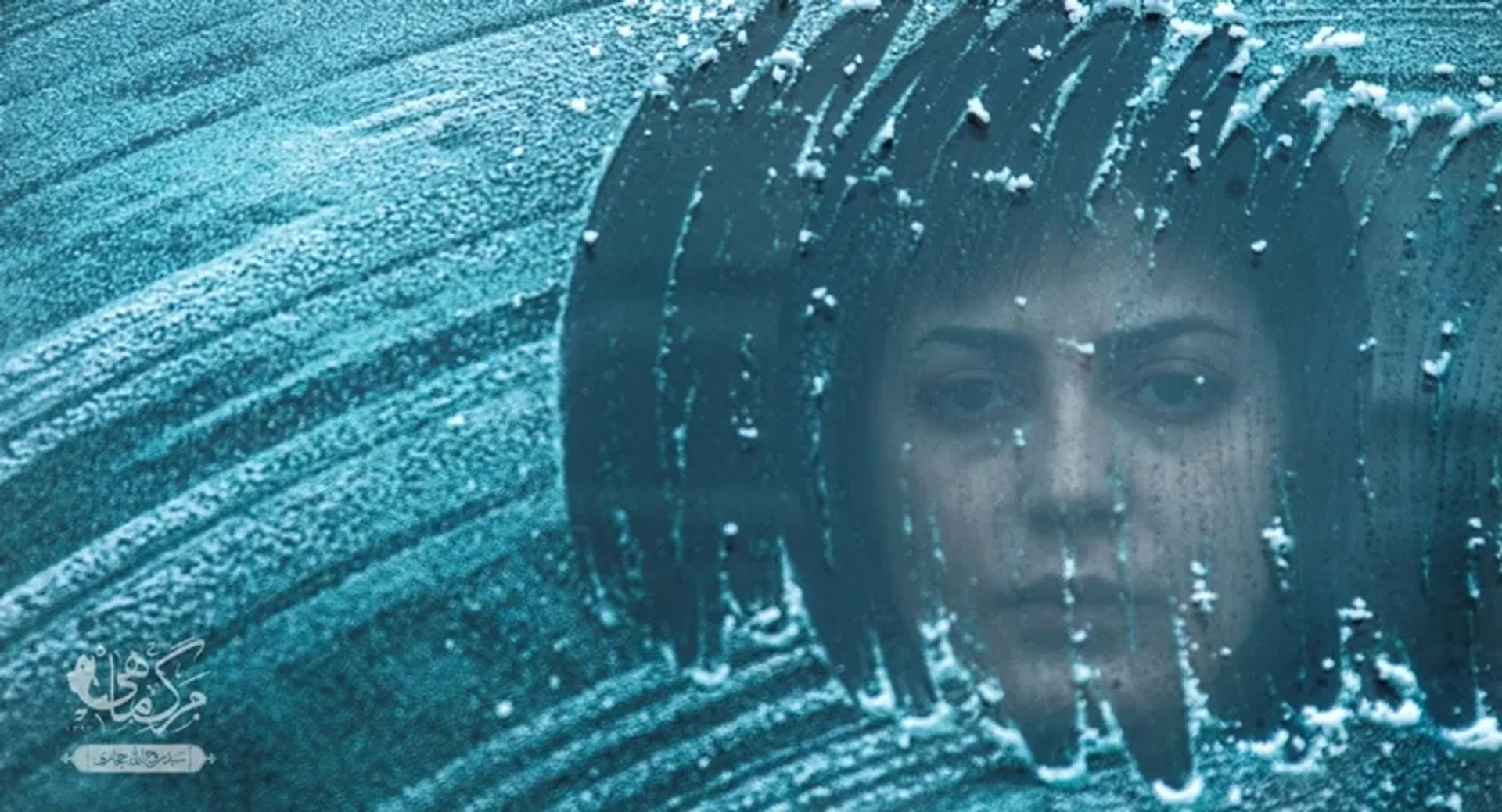 Tannaz Tabatabaei in Death of the Fish (2015)