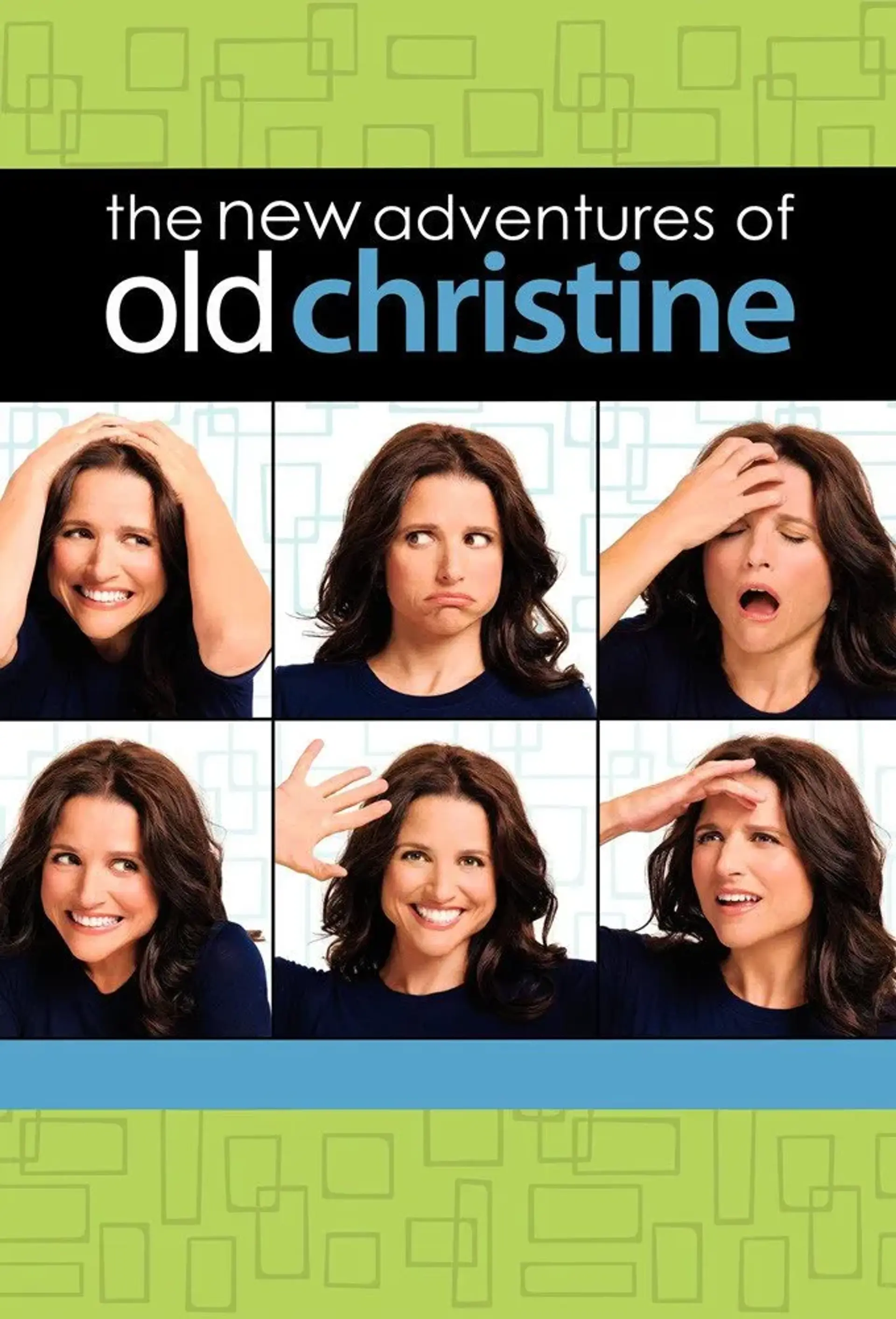 سریال ماجراهای جدید کریستین قدیمی (The New Adventures of Old Christine 2006)