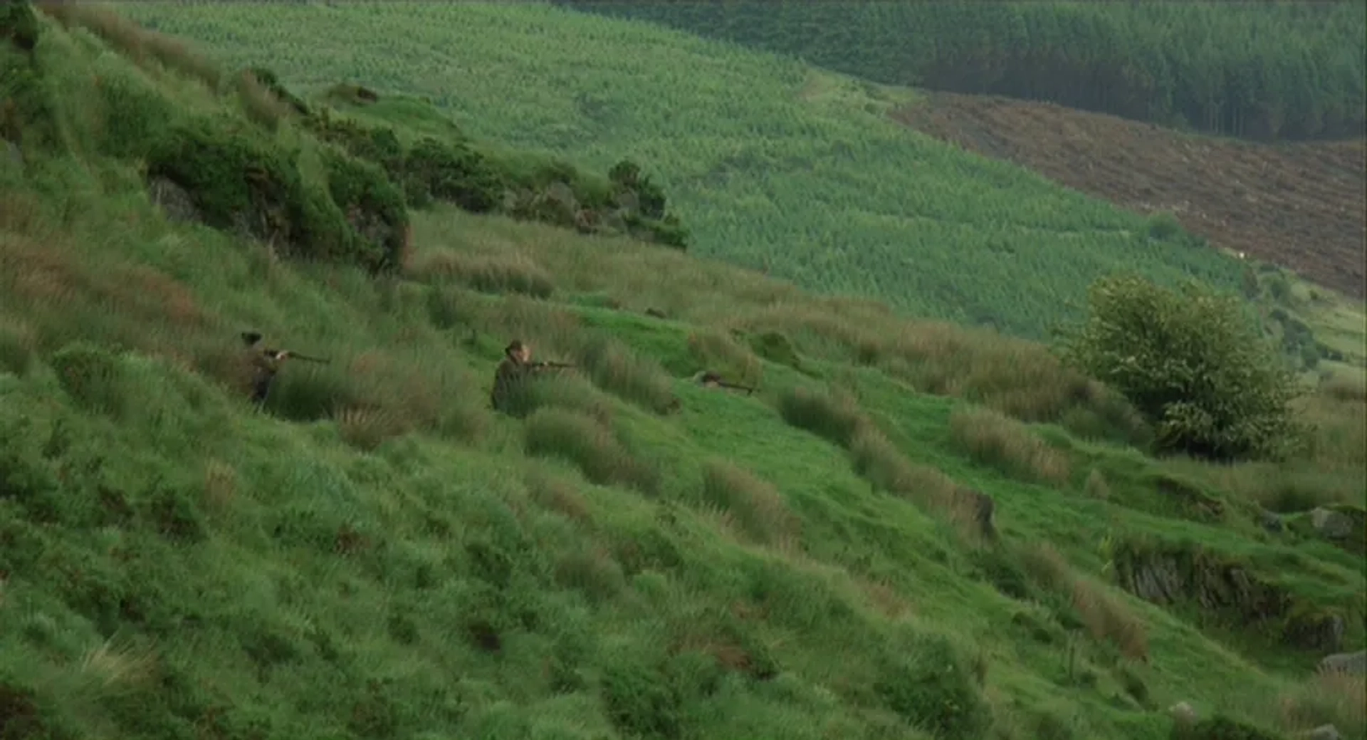 The Wind that Shakes the Barley (2006)