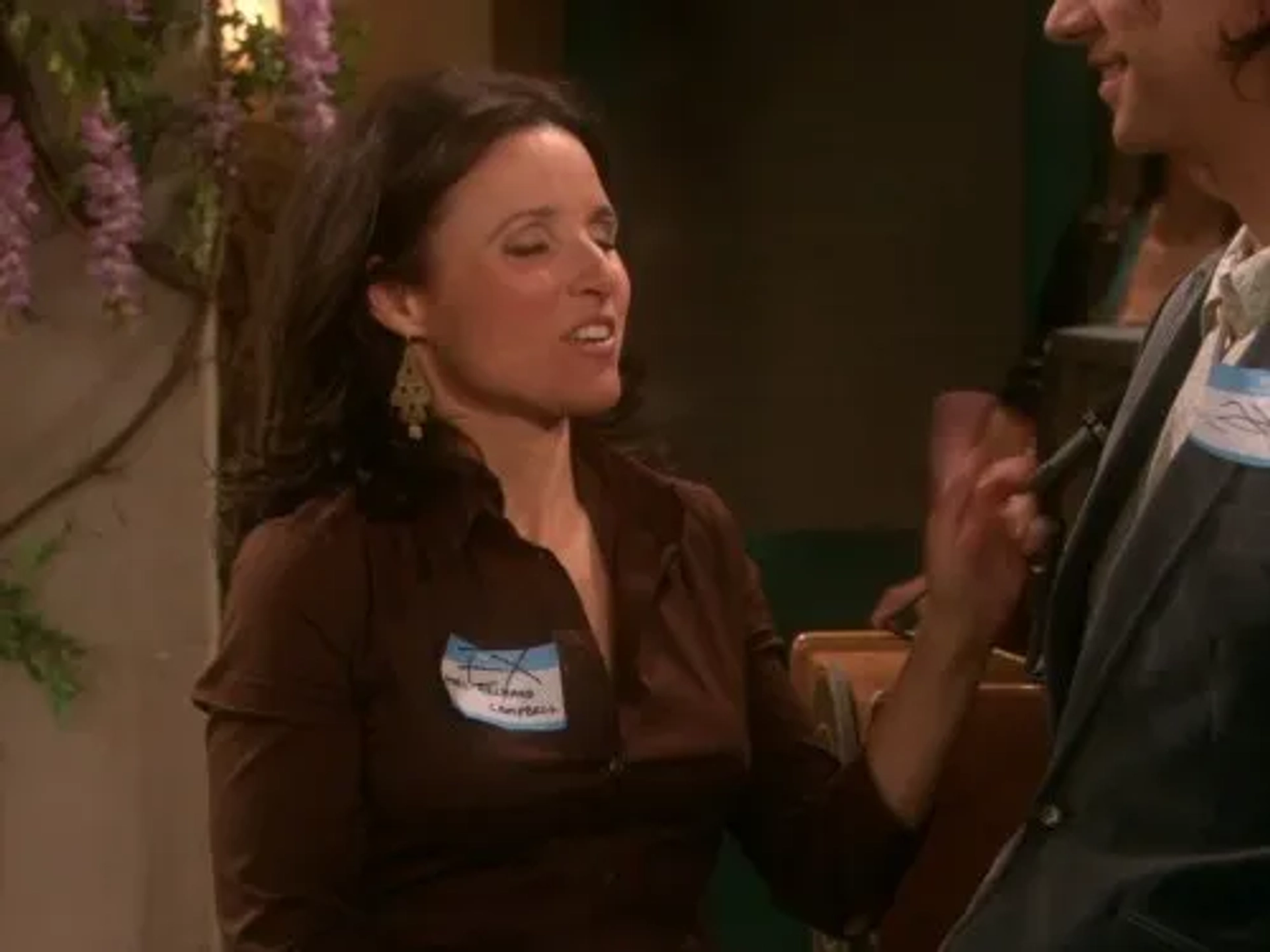 Julia Louis-Dreyfus in The New Adventures of Old Christine (2006)