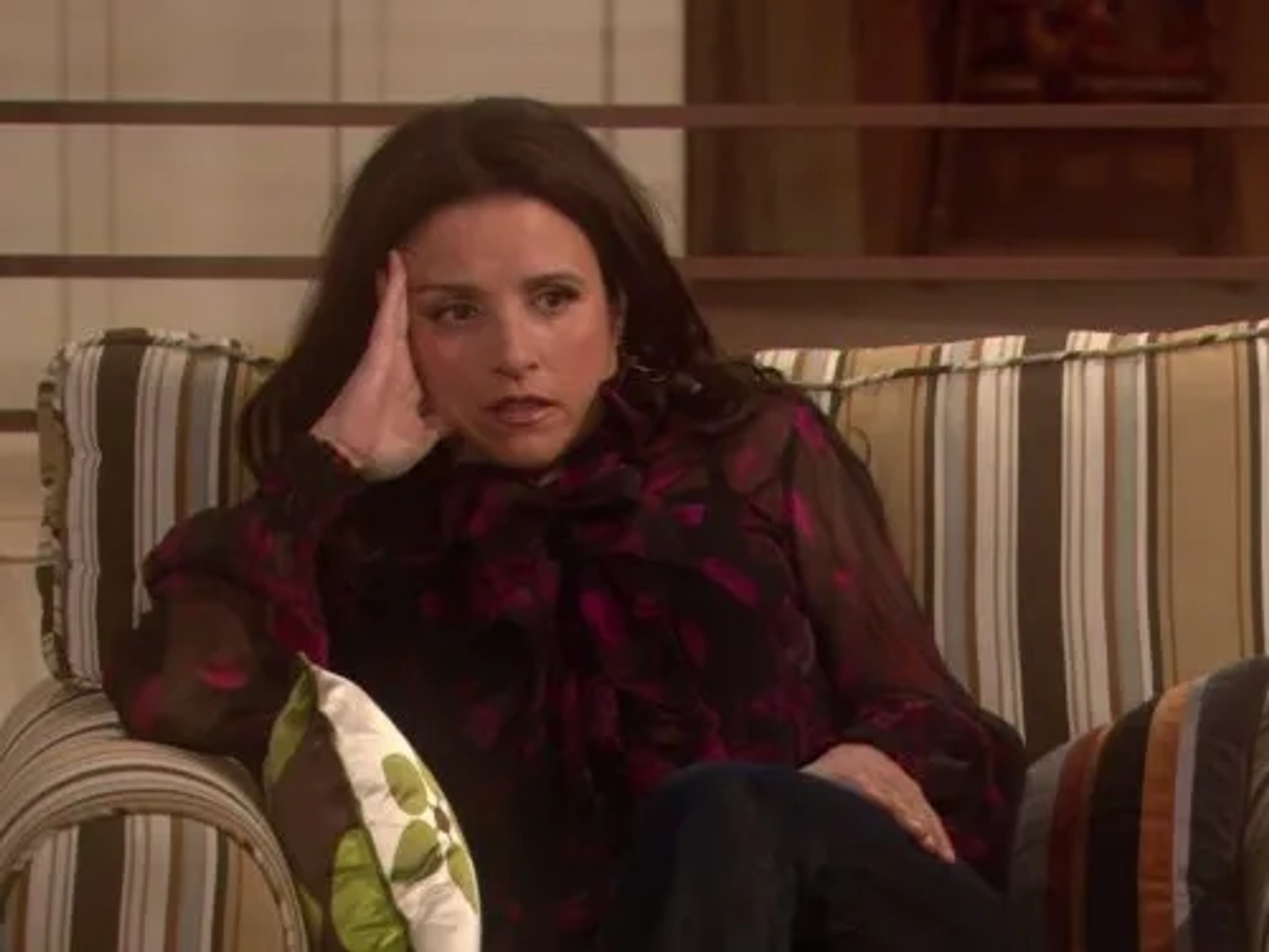 Julia Louis-Dreyfus in The New Adventures of Old Christine (2006)