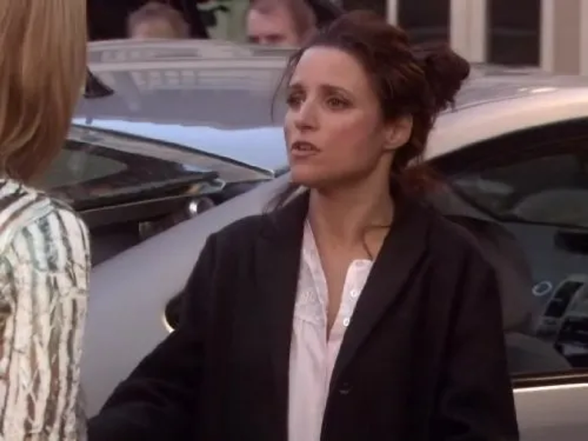 Julia Louis-Dreyfus in The New Adventures of Old Christine (2006)