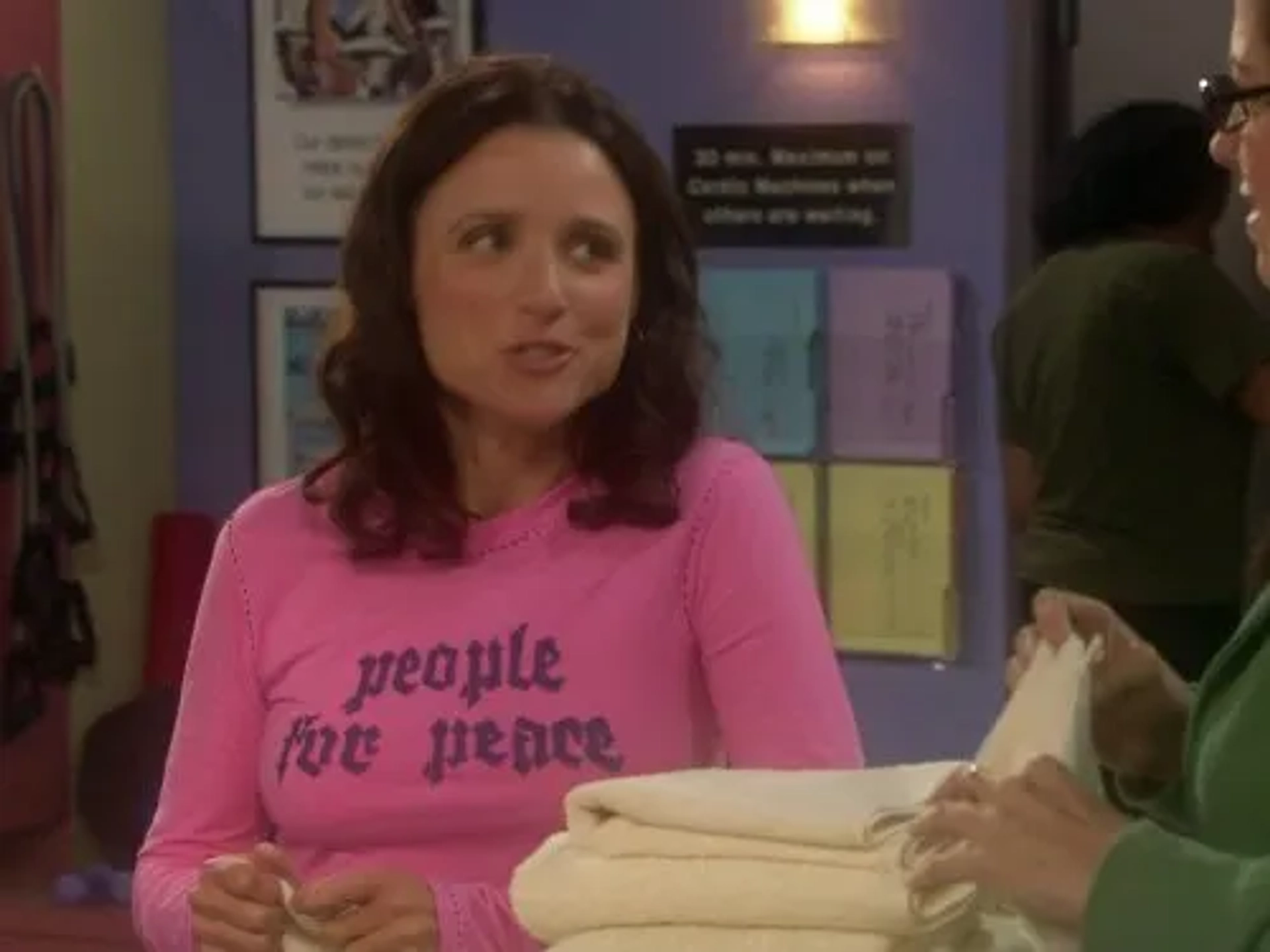 Julia Louis-Dreyfus in The New Adventures of Old Christine (2006)