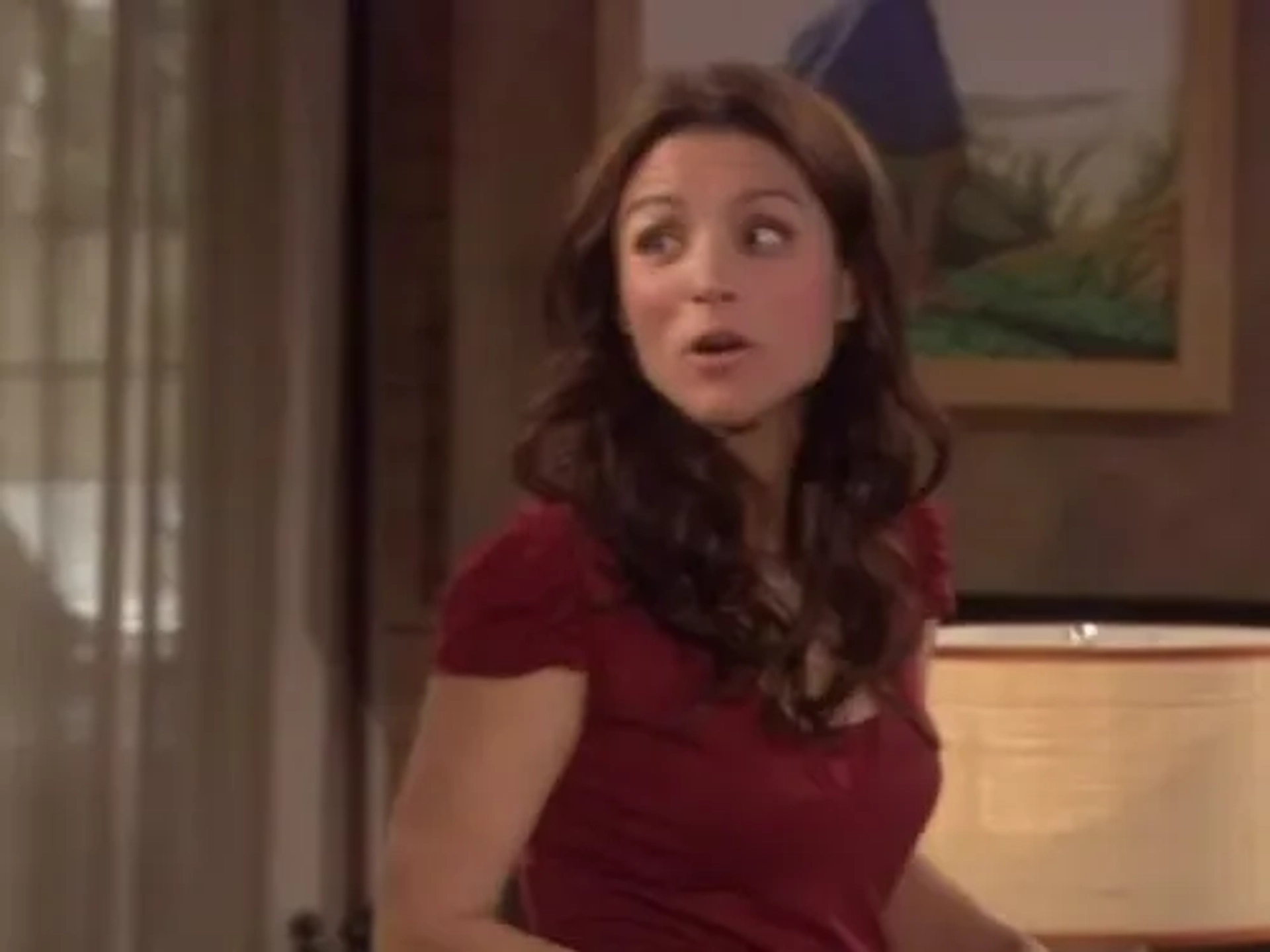 Julia Louis-Dreyfus in The New Adventures of Old Christine (2006)