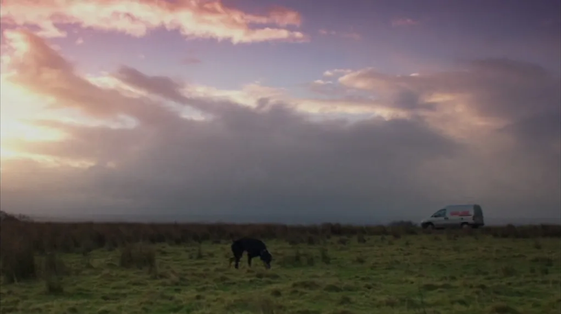 Red Road (2006)