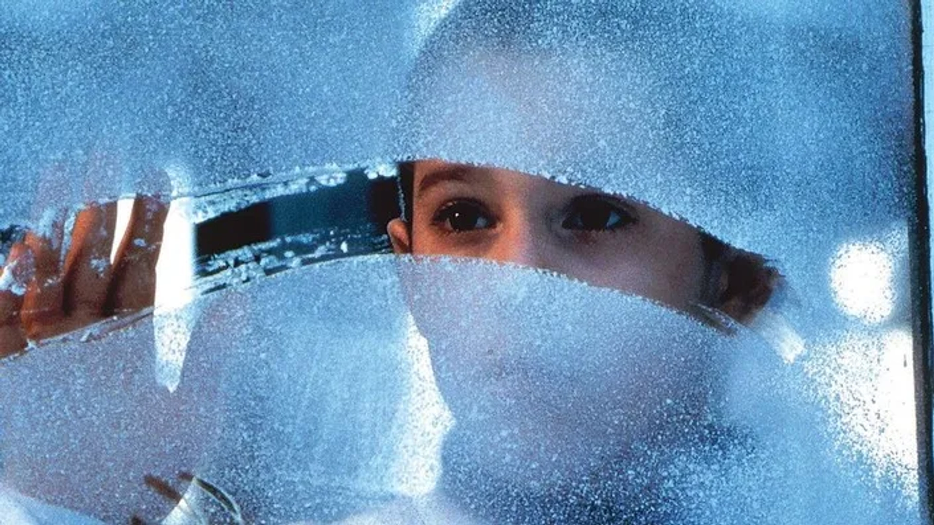 فیلم سفر گروهی (Class Trip 1998)