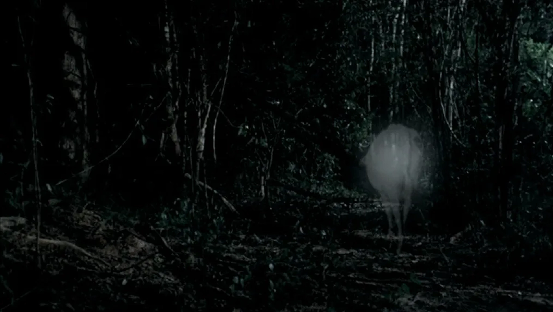 Tropical Malady (2004)
