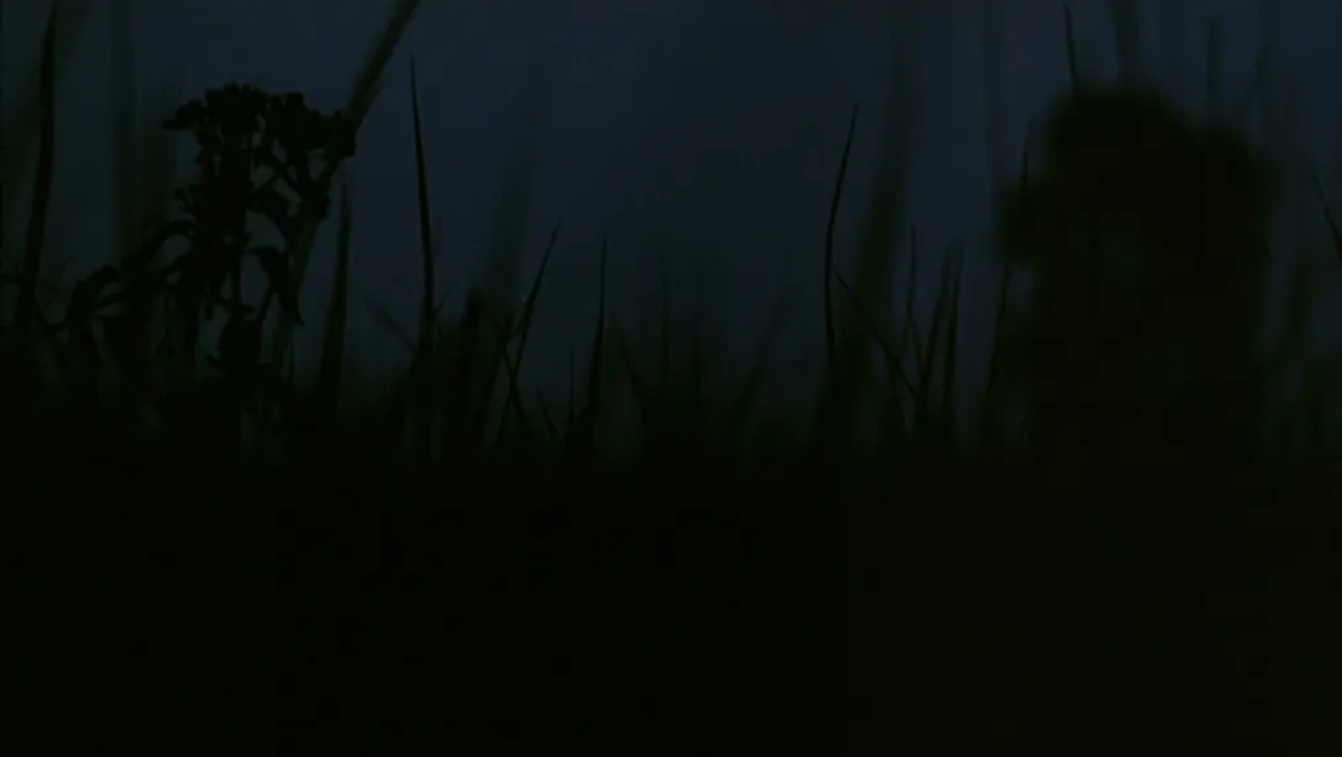 Tropical Malady (2004)