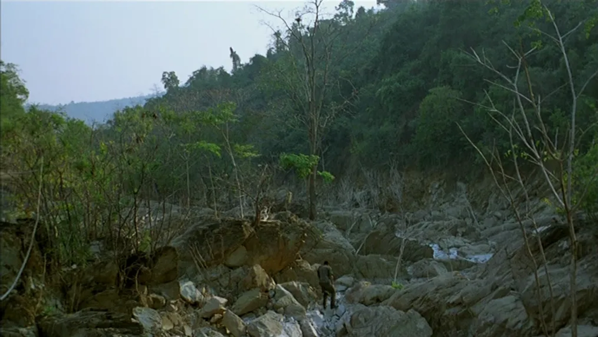 Tropical Malady (2004)