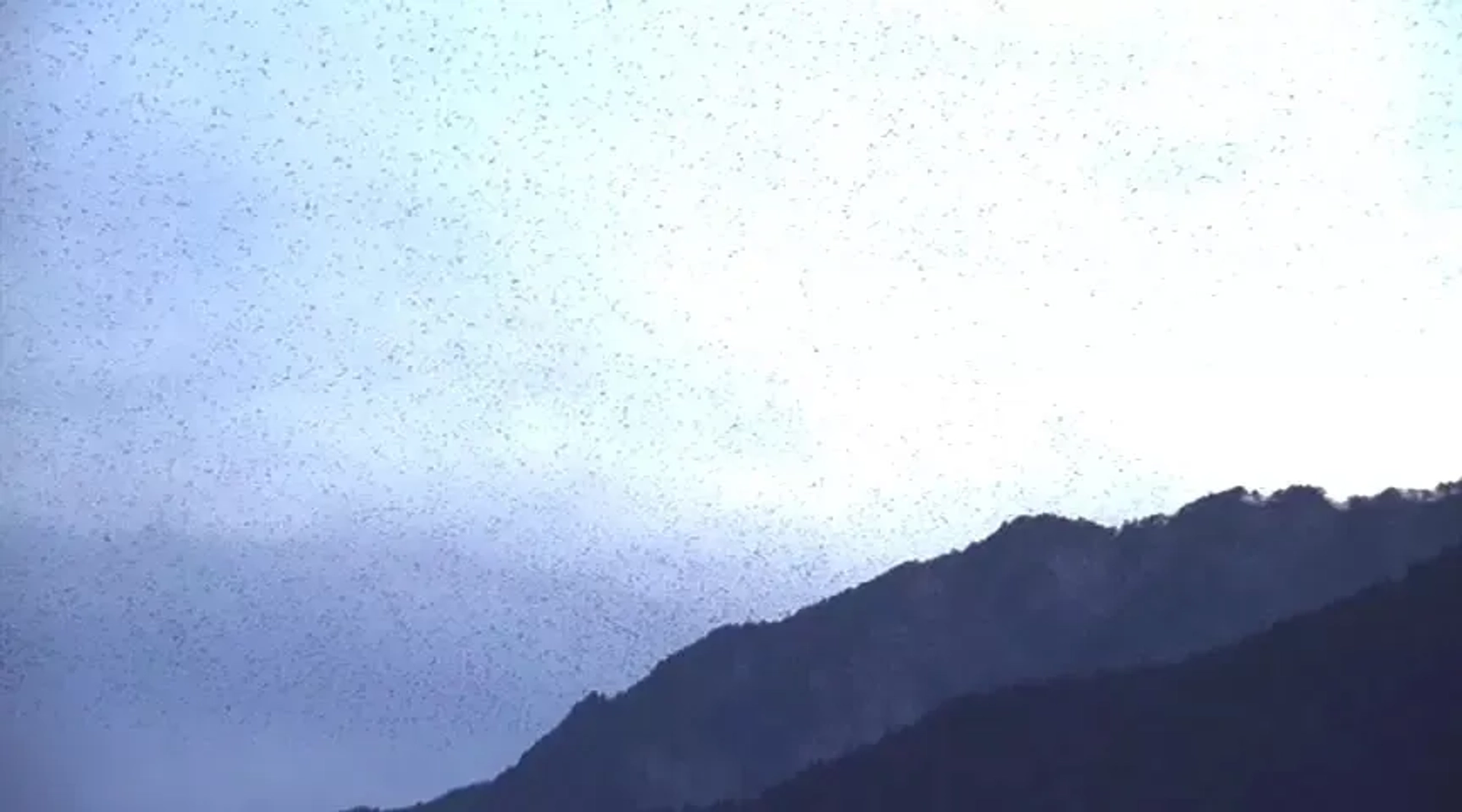 Painted Fire (2002)