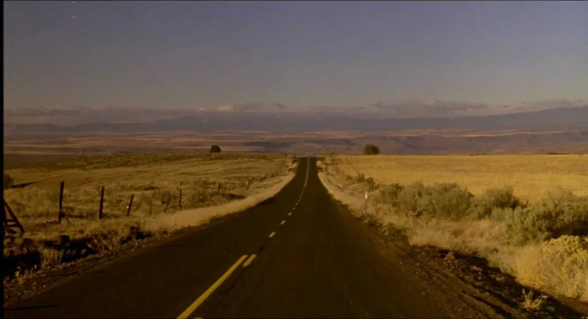 My Own Private Idaho (1991)