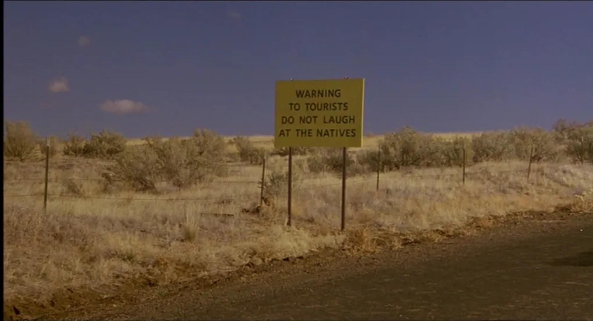 My Own Private Idaho (1991)