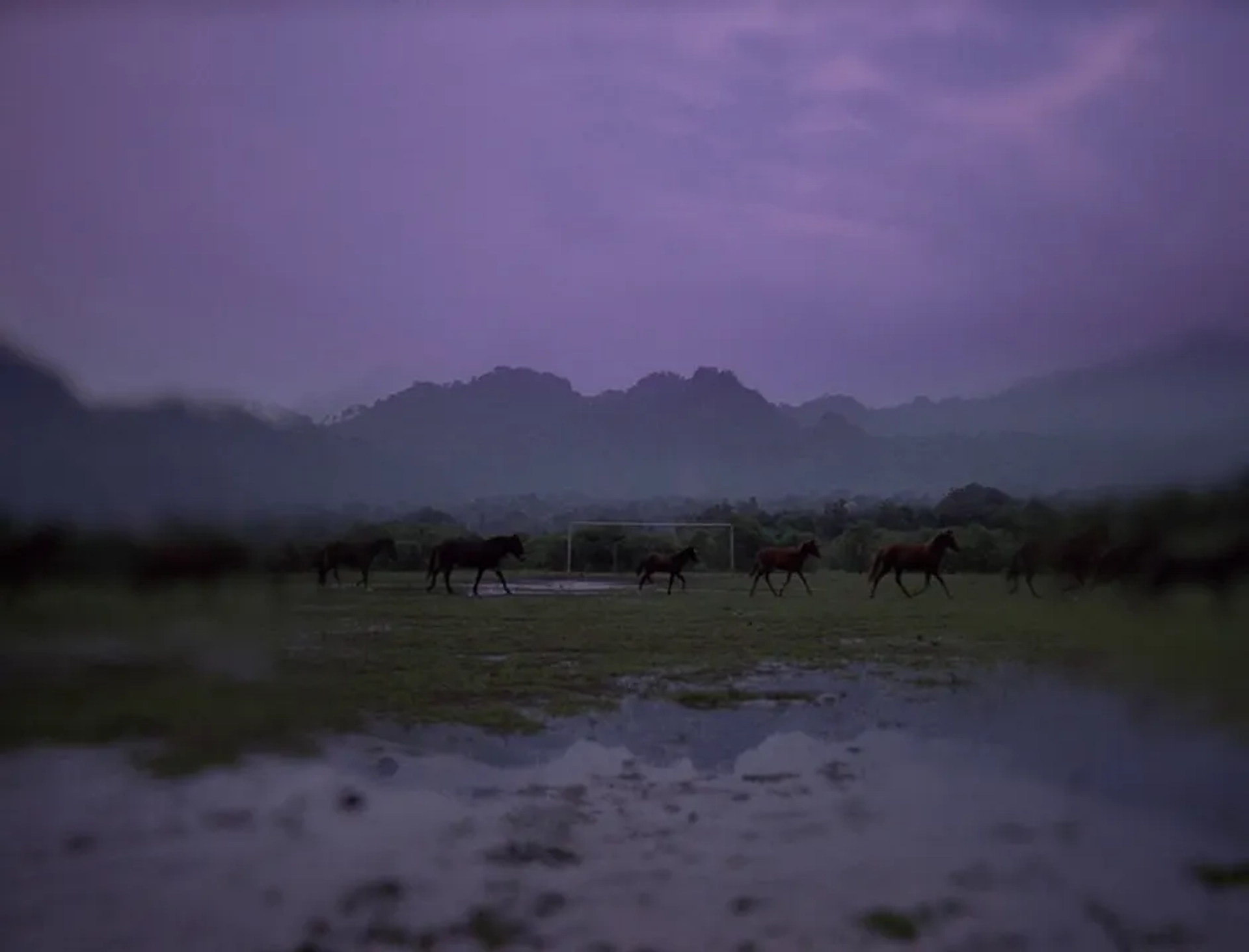Post Tenebras Lux (2012)