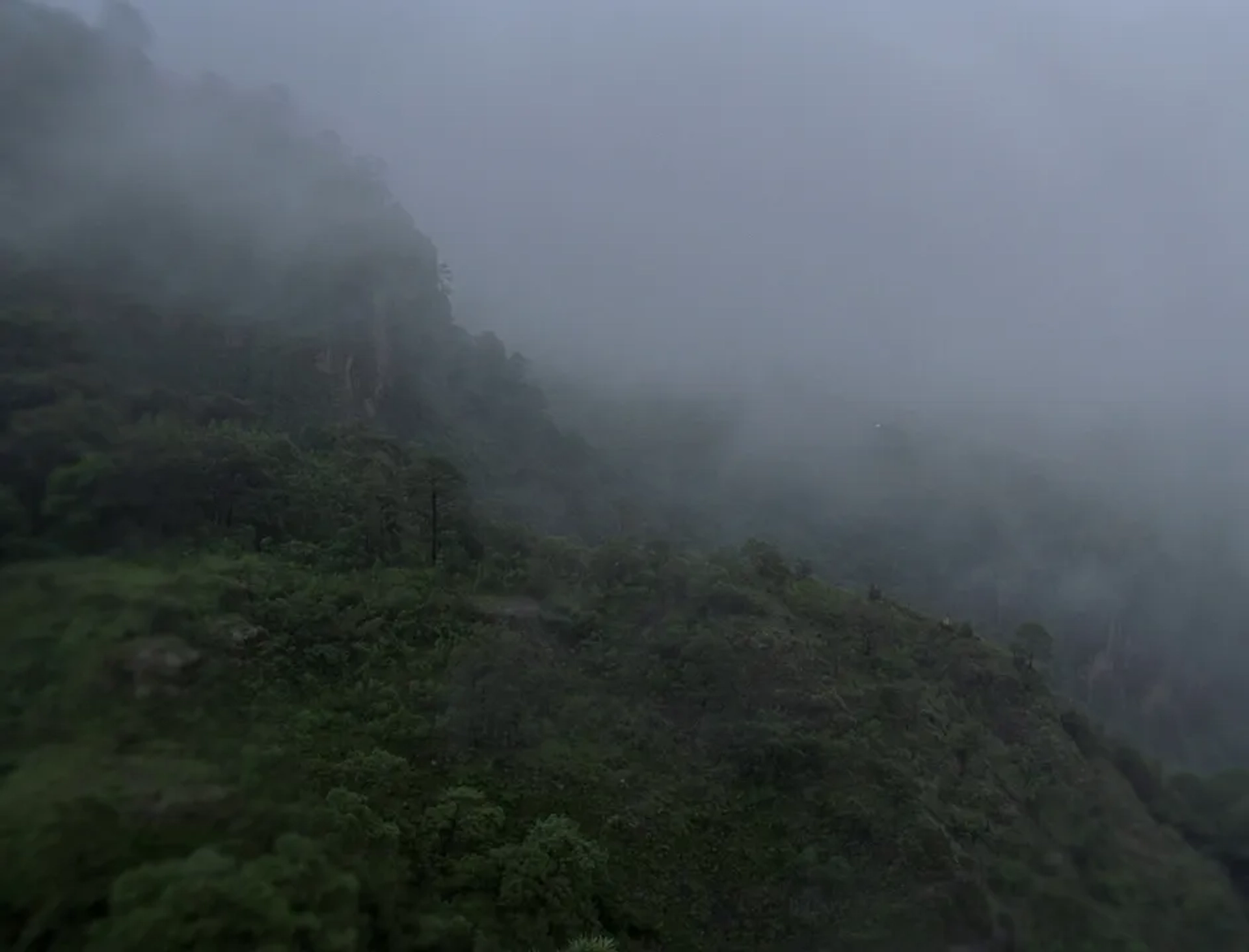 Post Tenebras Lux (2012)
