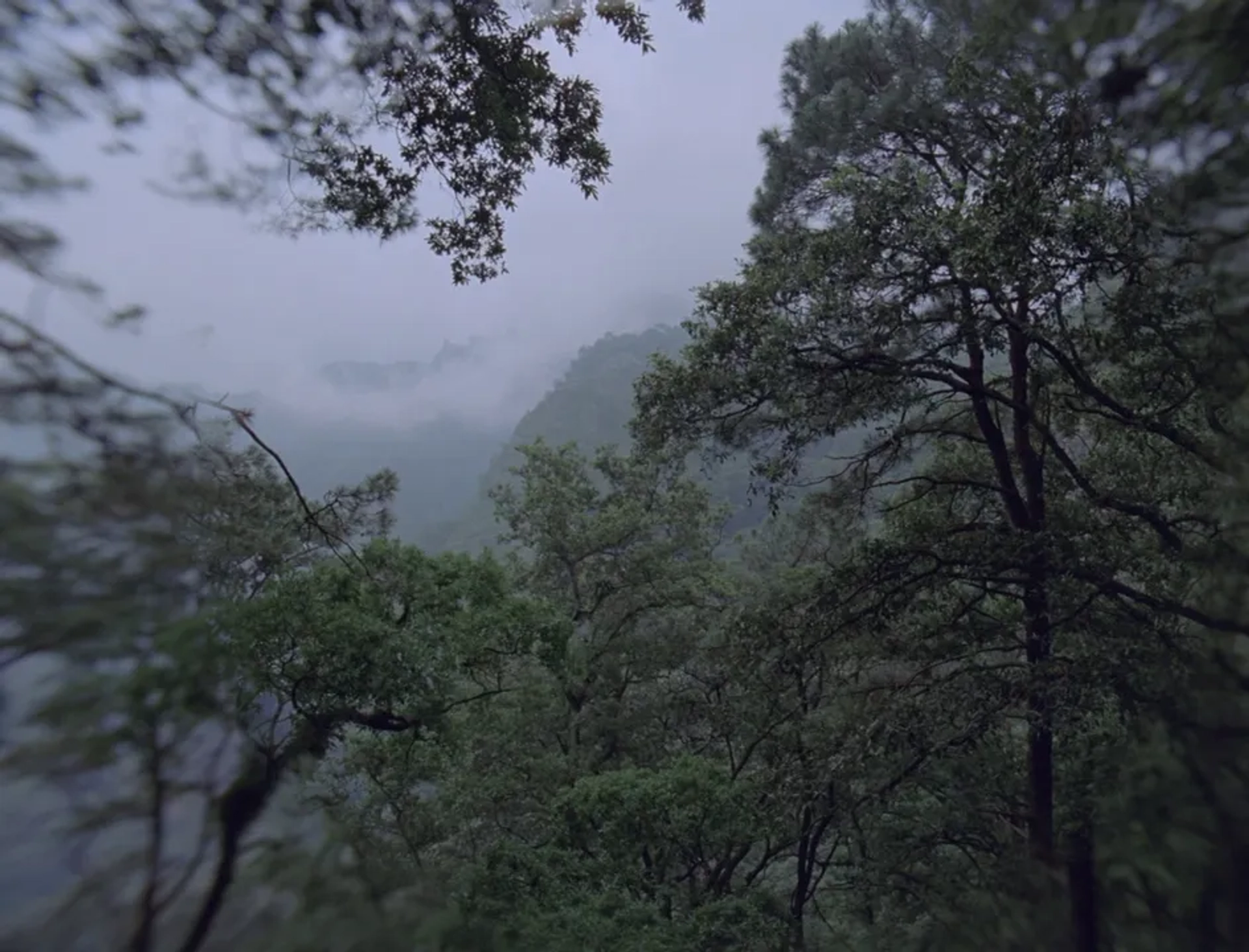 Post Tenebras Lux (2012)