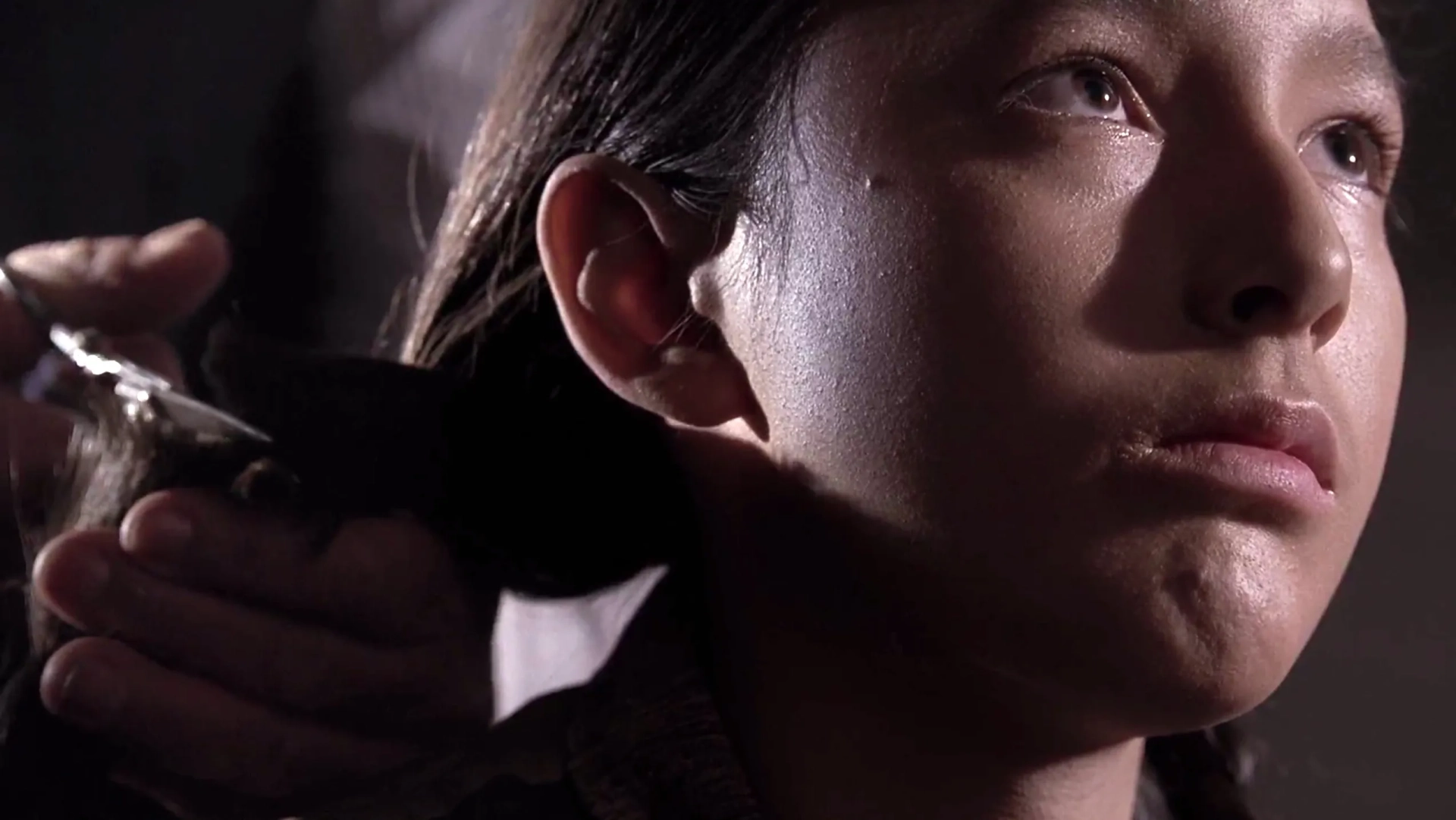 Chevez Ezaneh in Bury My Heart at Wounded Knee (2007)