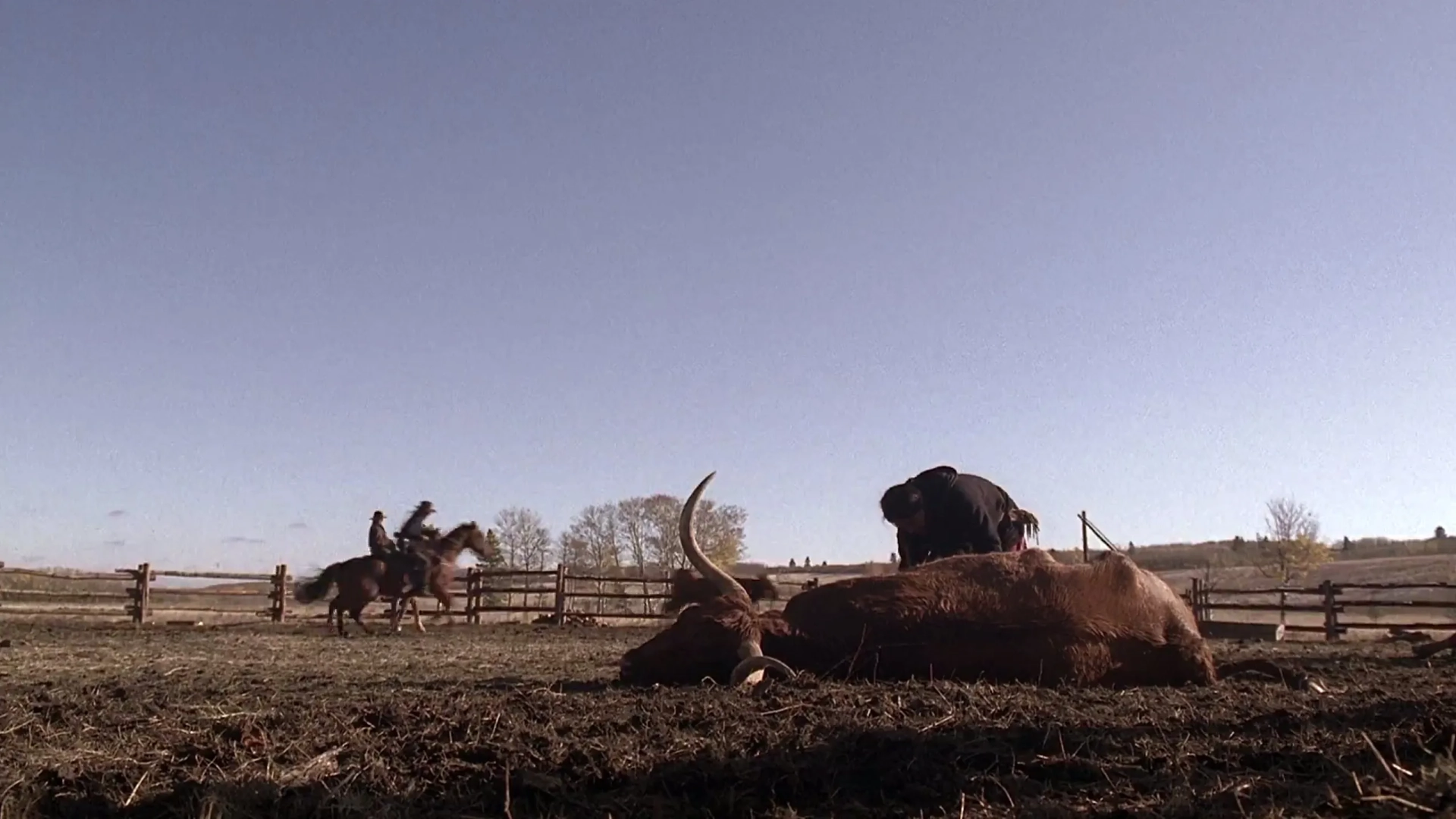 Bury My Heart at Wounded Knee (2007)