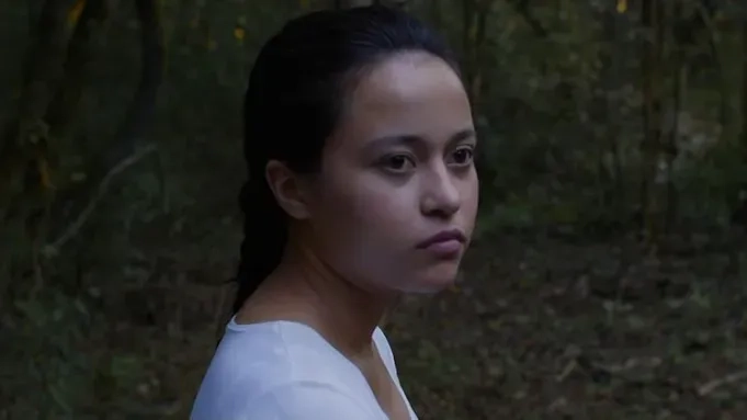 برندگان جشنواره فیلم تااورمینا ۲۰۲۵ اعلام شدند