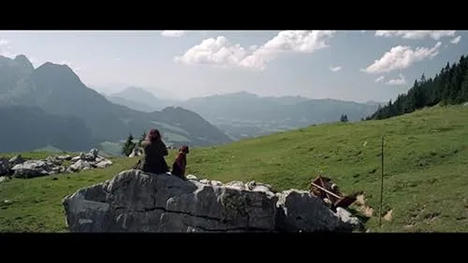 فیلم دیوار (The Wall 2012)
