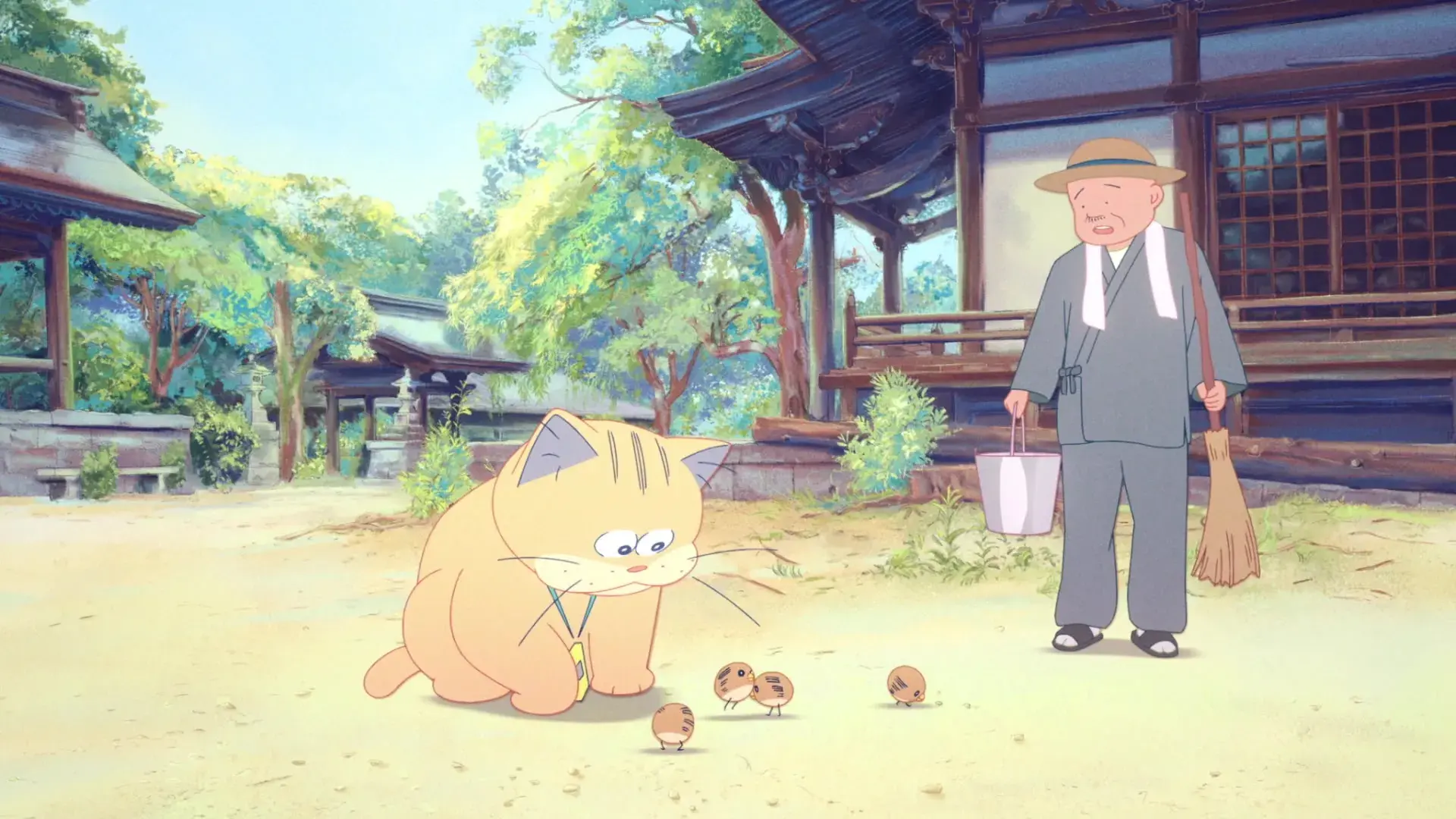 انیمیشن آنزو گربه شبحی (Ghost Cat Anzu 2024)