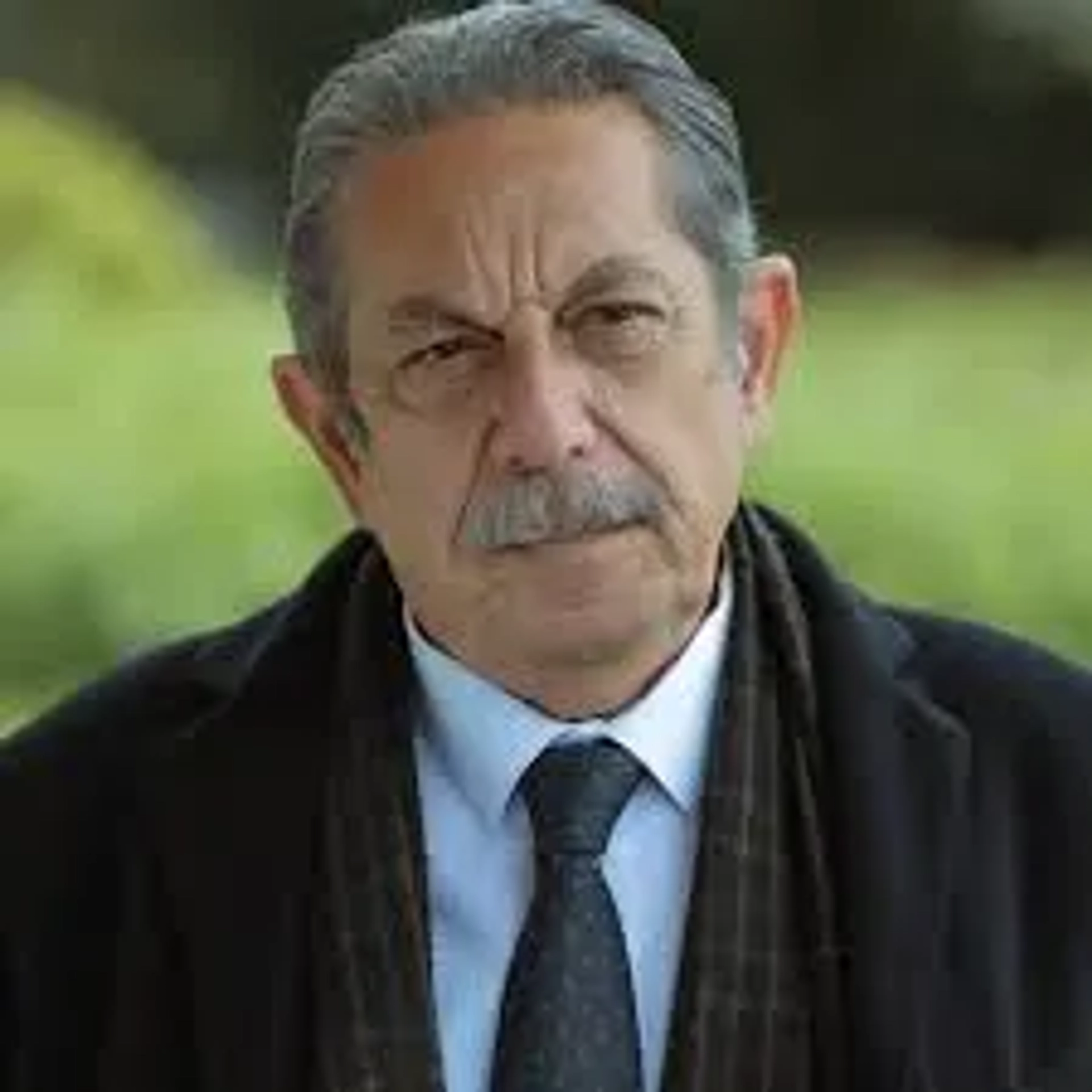 عدنان بیریجیک