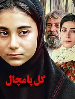 گل پامچال 1370