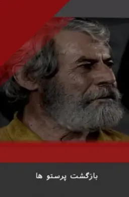 بازگشت پرستو ها