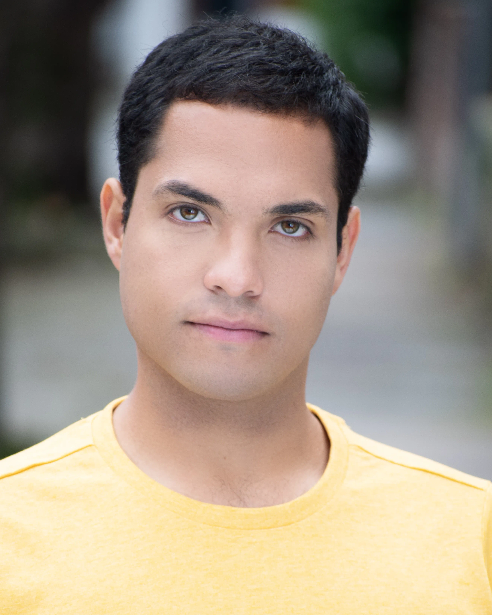 باسک ویکتوری