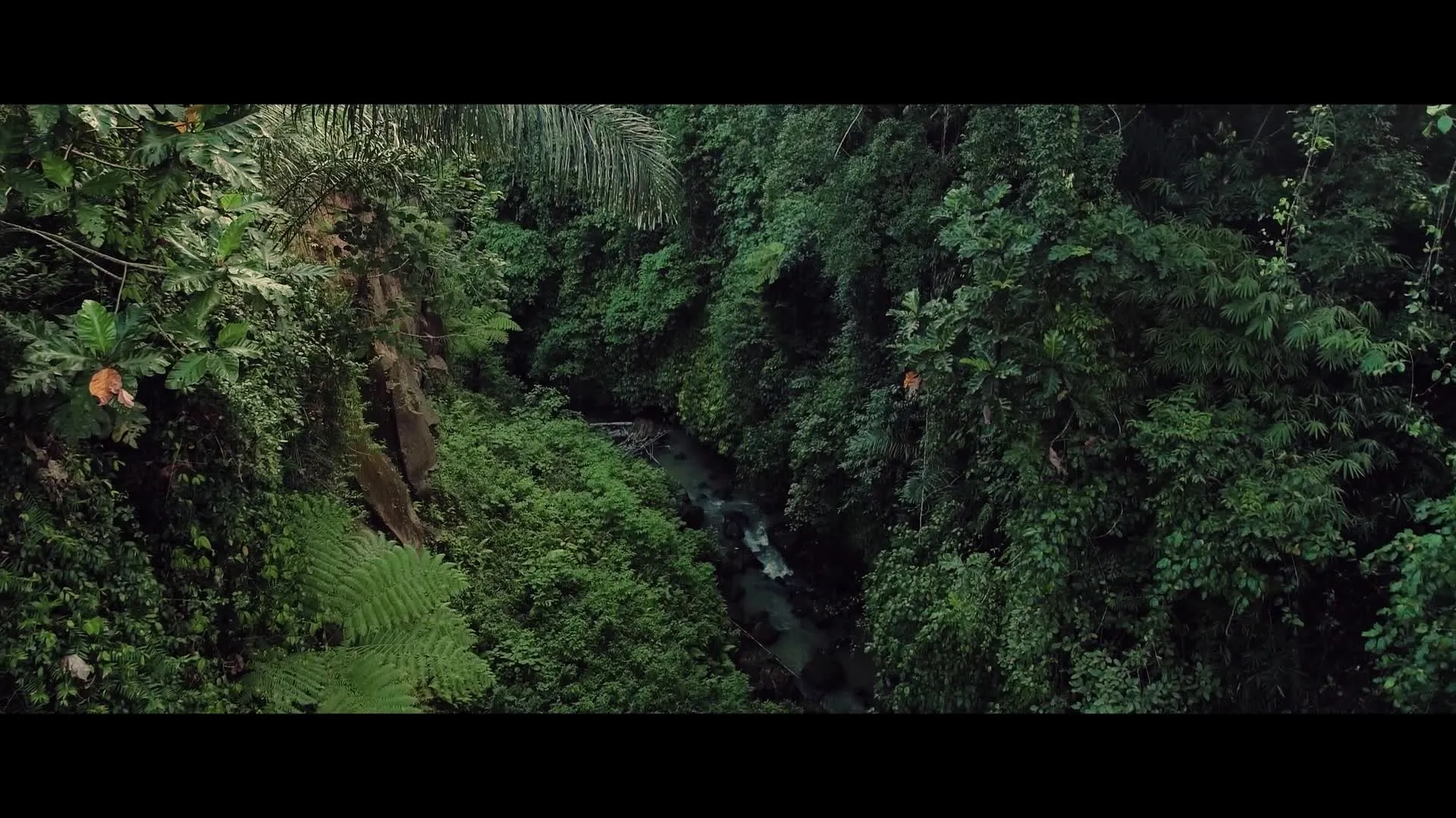 تریلر فیلم رودخانه خون ۲۰۲۴ River of Blood