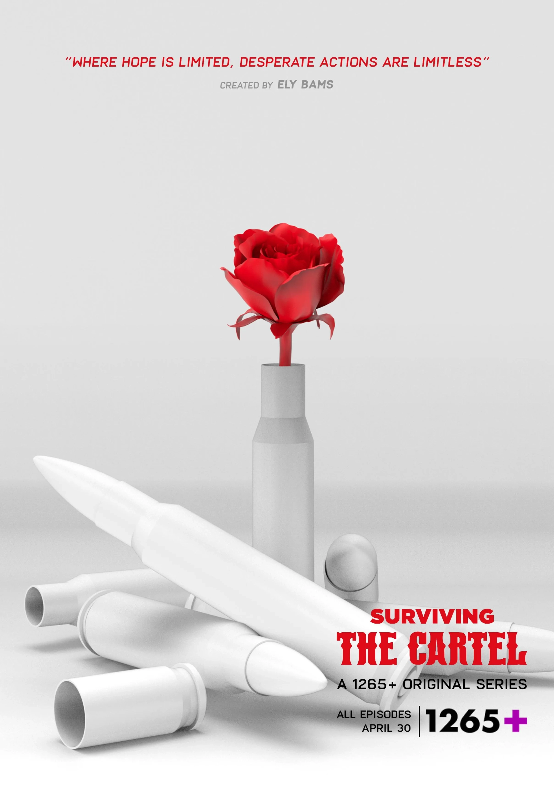 سریال بقای در کارتل (Surviving the Cartel 2022)
