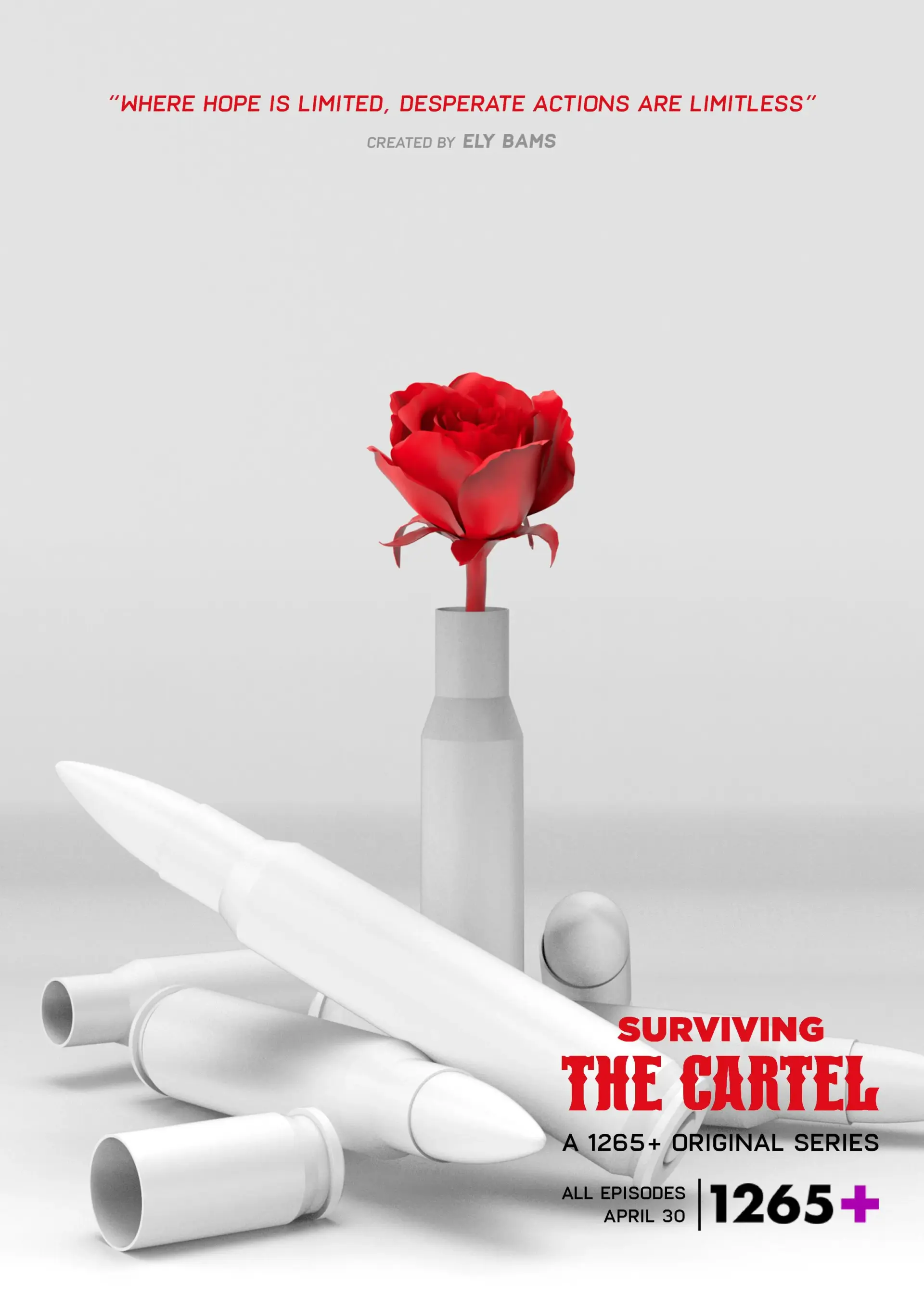 سریال بقای در کارتل (Surviving the Cartel 2022)