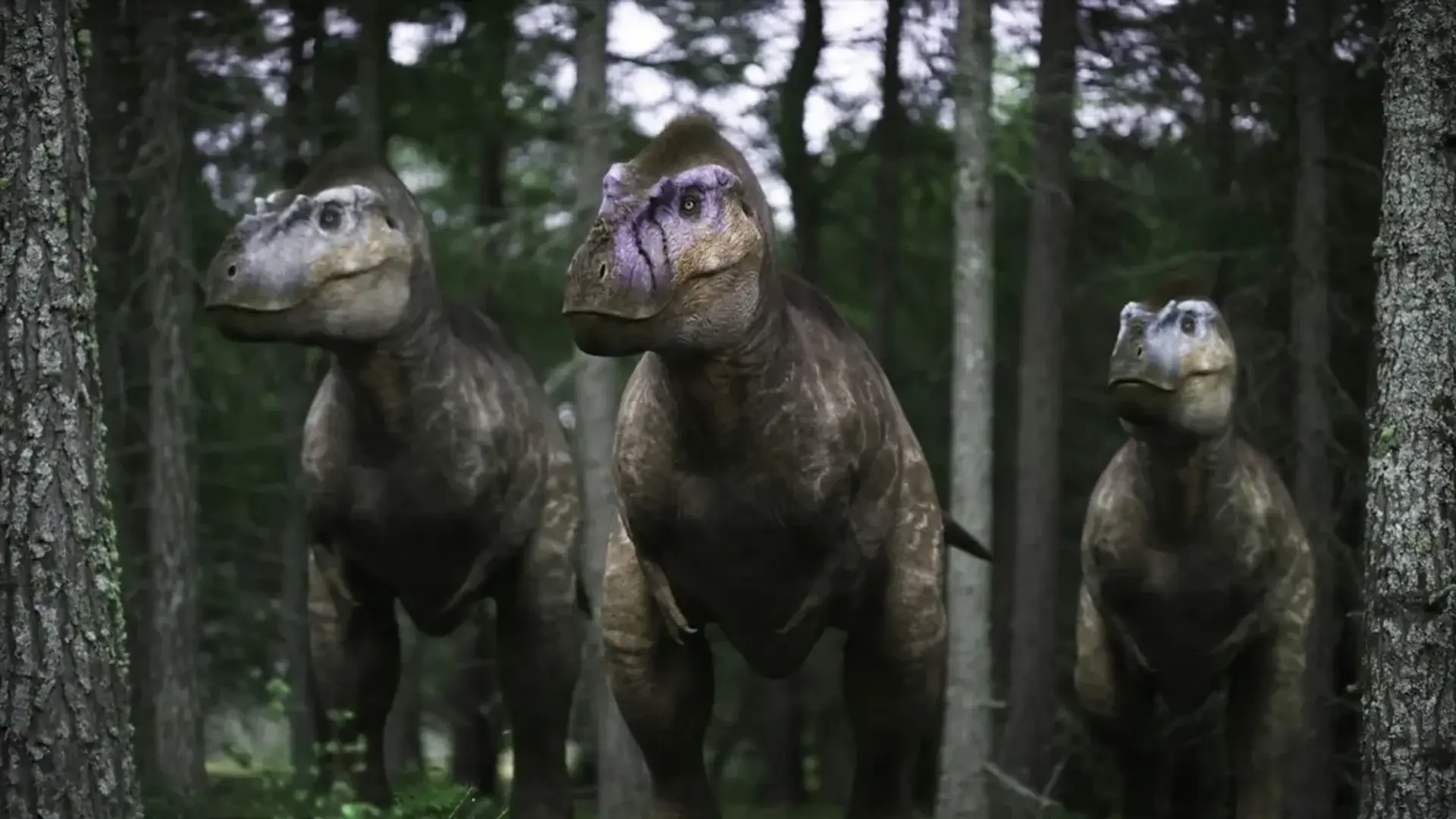 انیمیشن قدم زدن با دایناسورها (Walking with Dinosaurs 3D 2013)