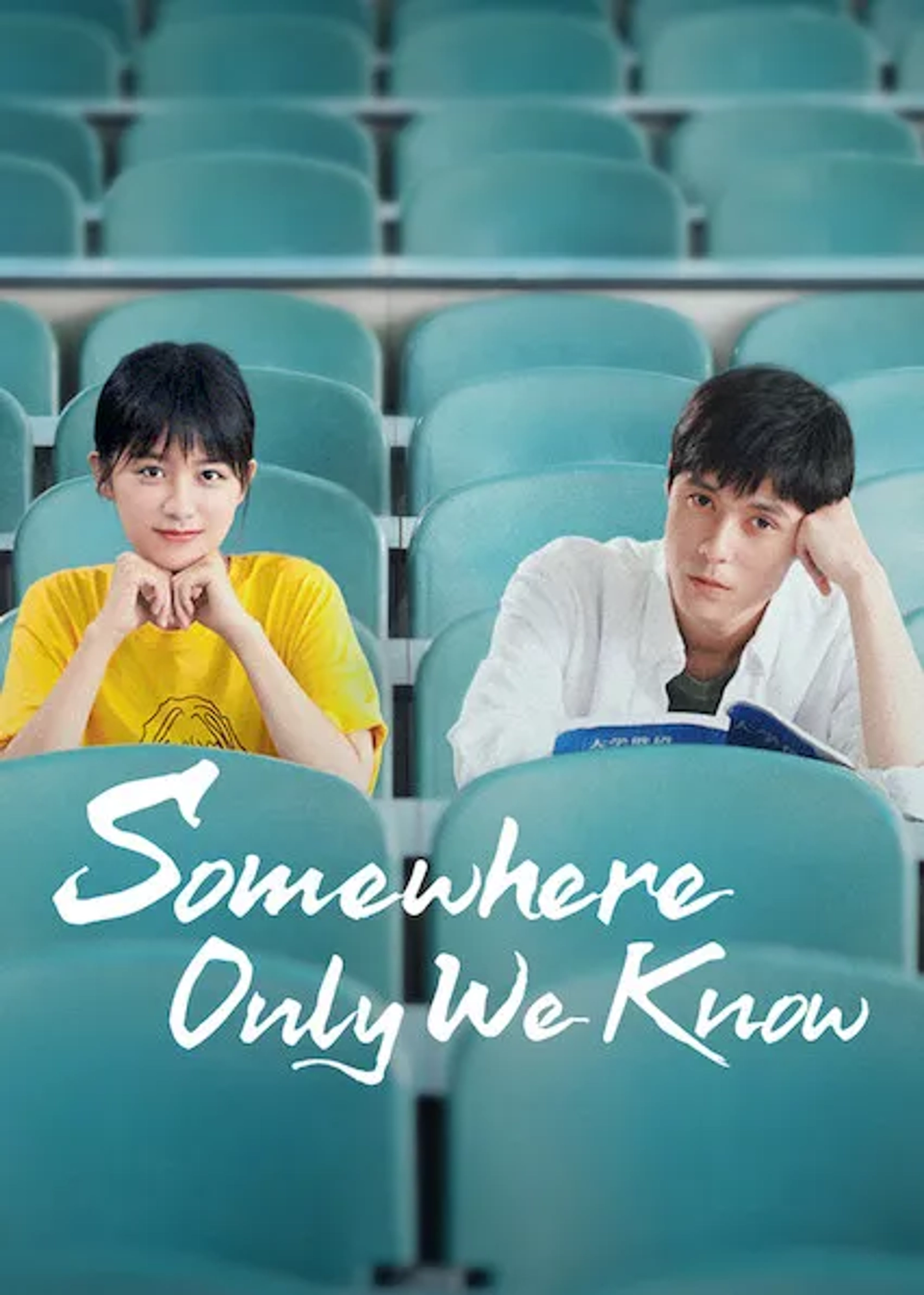 سریال جایی که تنها ما می شناسیم (Somewhere Only We Know 2019)