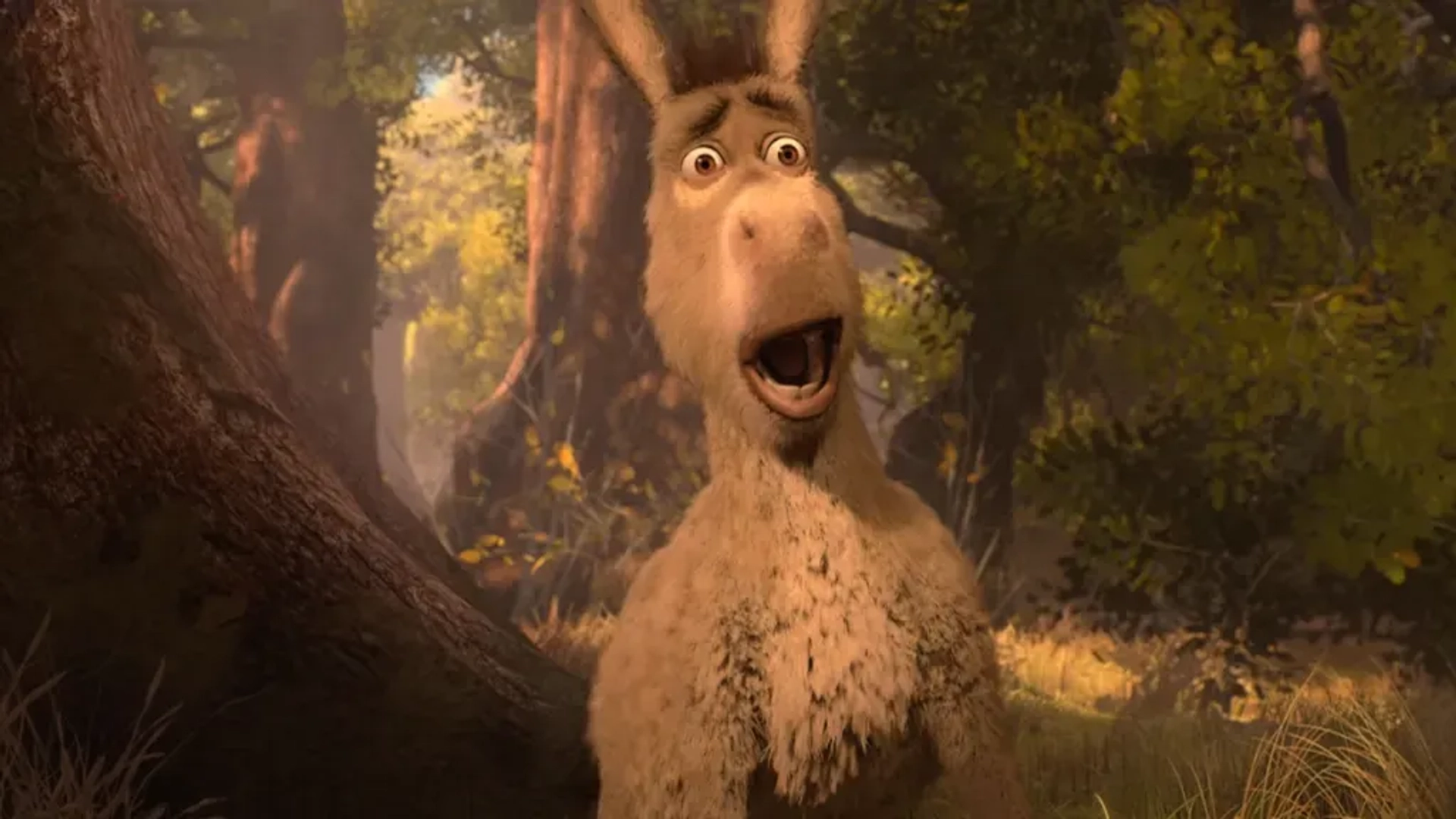 اسپین‌آف شخصیت خر شرک رسما تایید شد