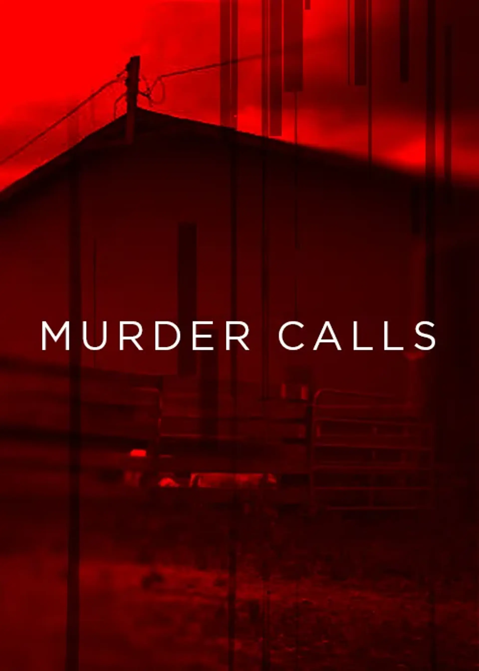 سریال تماس های قتل (Murder Calls 2017)