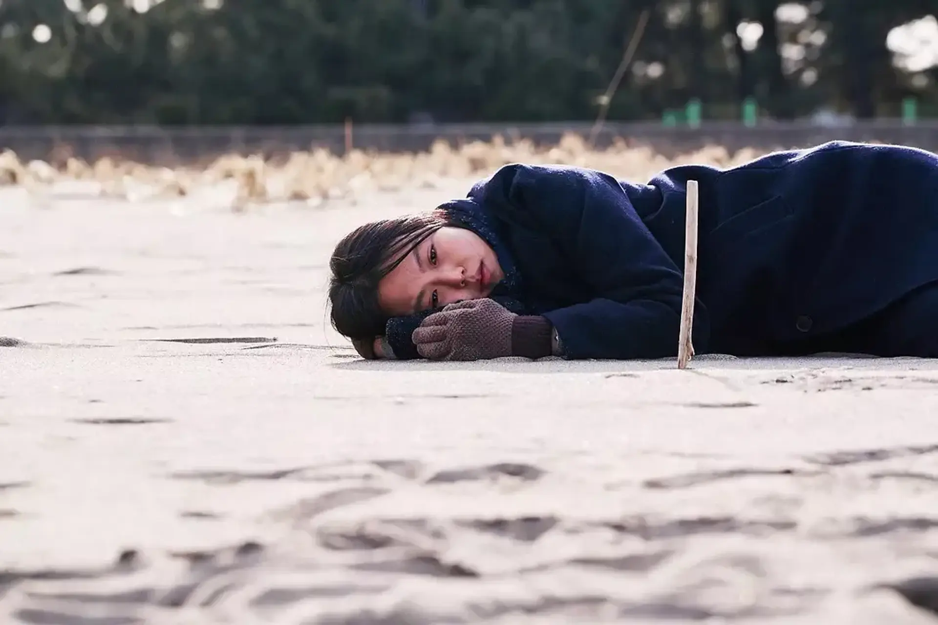 فیلم شبی تنها کنار دریا (On the Beach at Night Alone 2017)