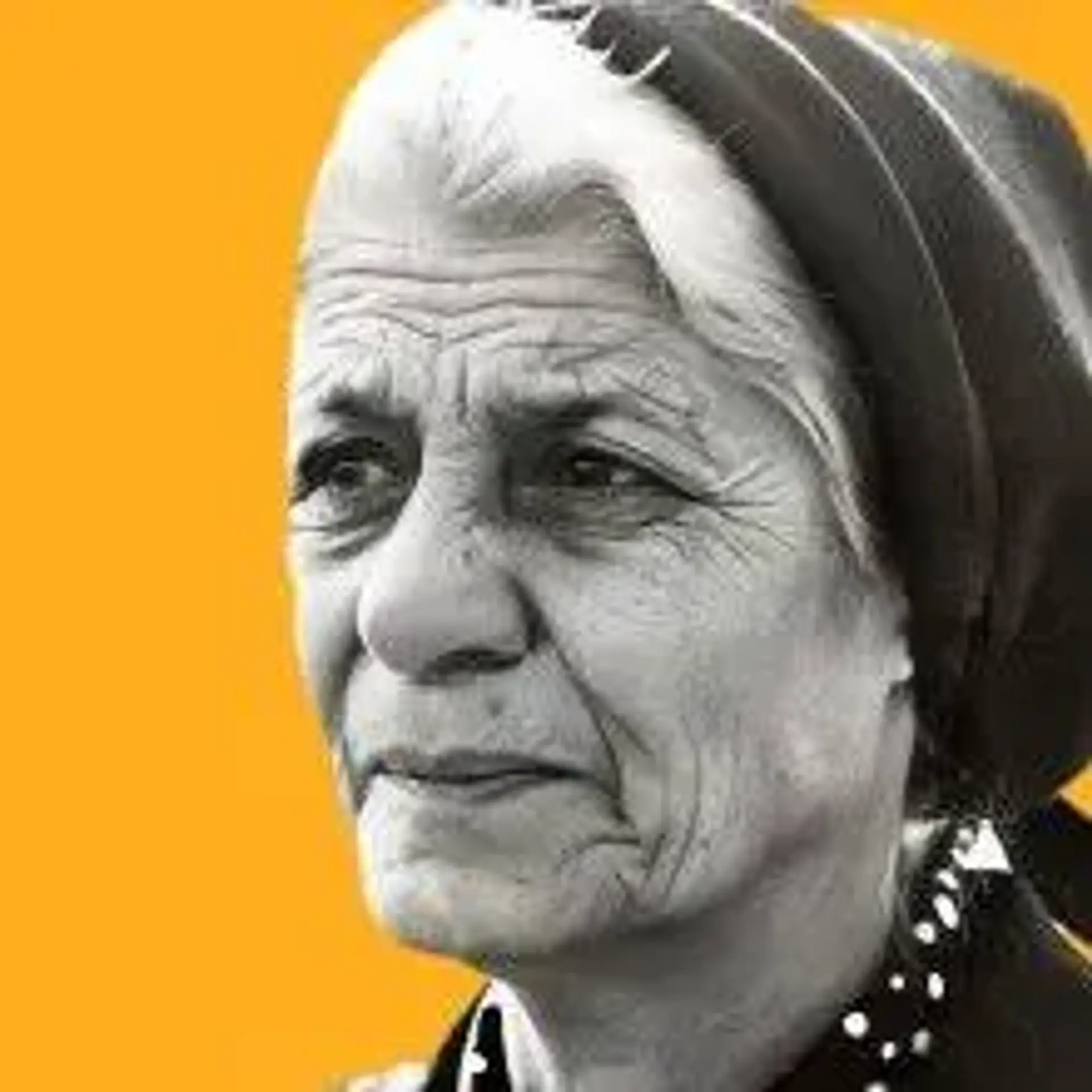 آنیک  شفرازیان