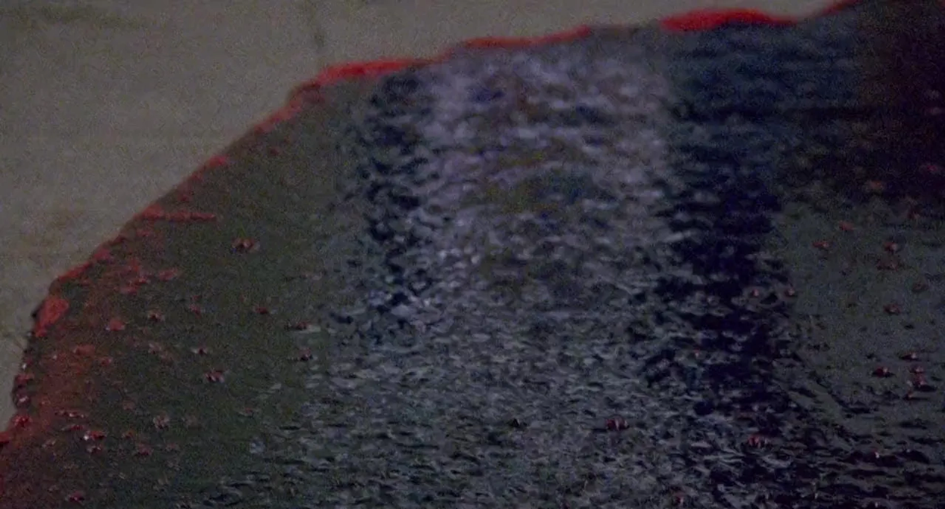 Suicide Club (2001)