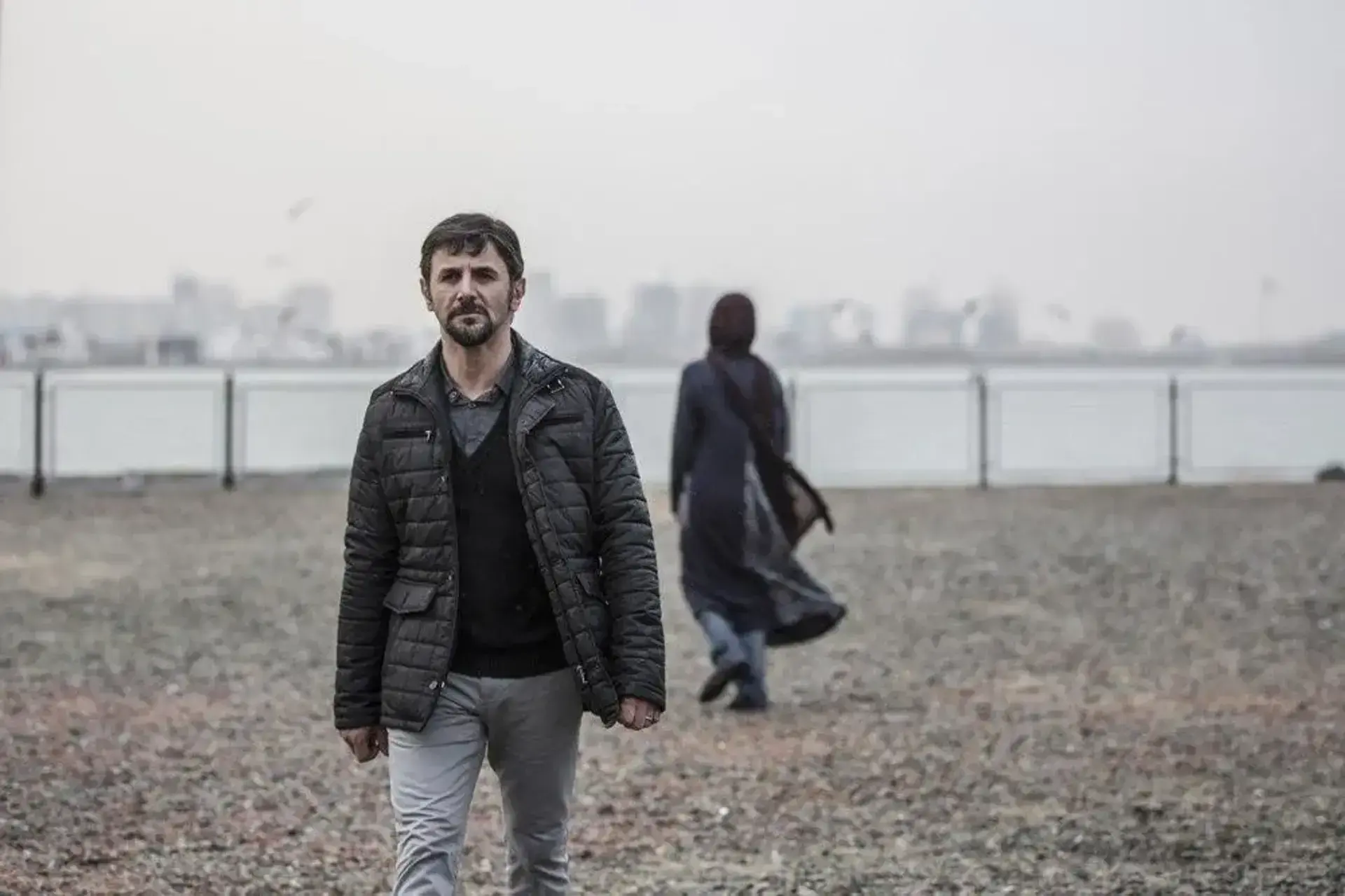 فیلم-دارکوب
