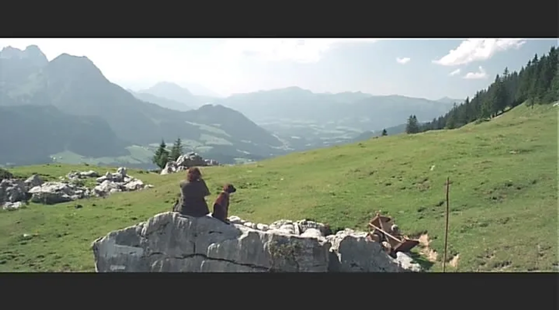 The Wall (2012)