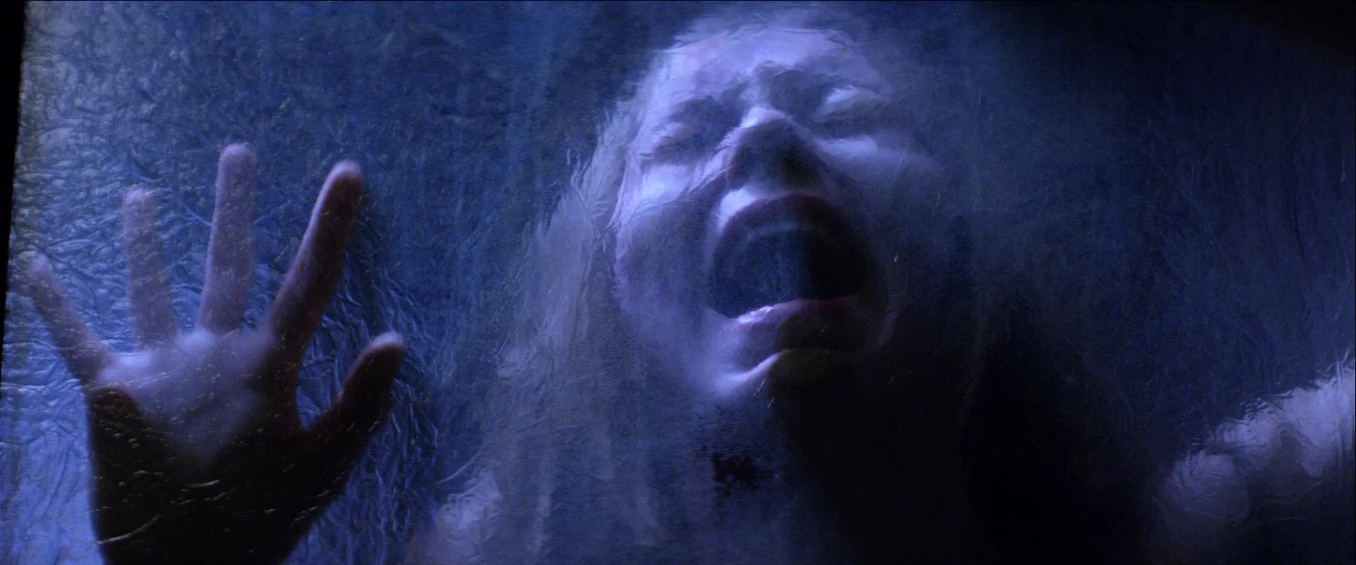 Taylor Hickson in Incident in a Ghostland (2018)