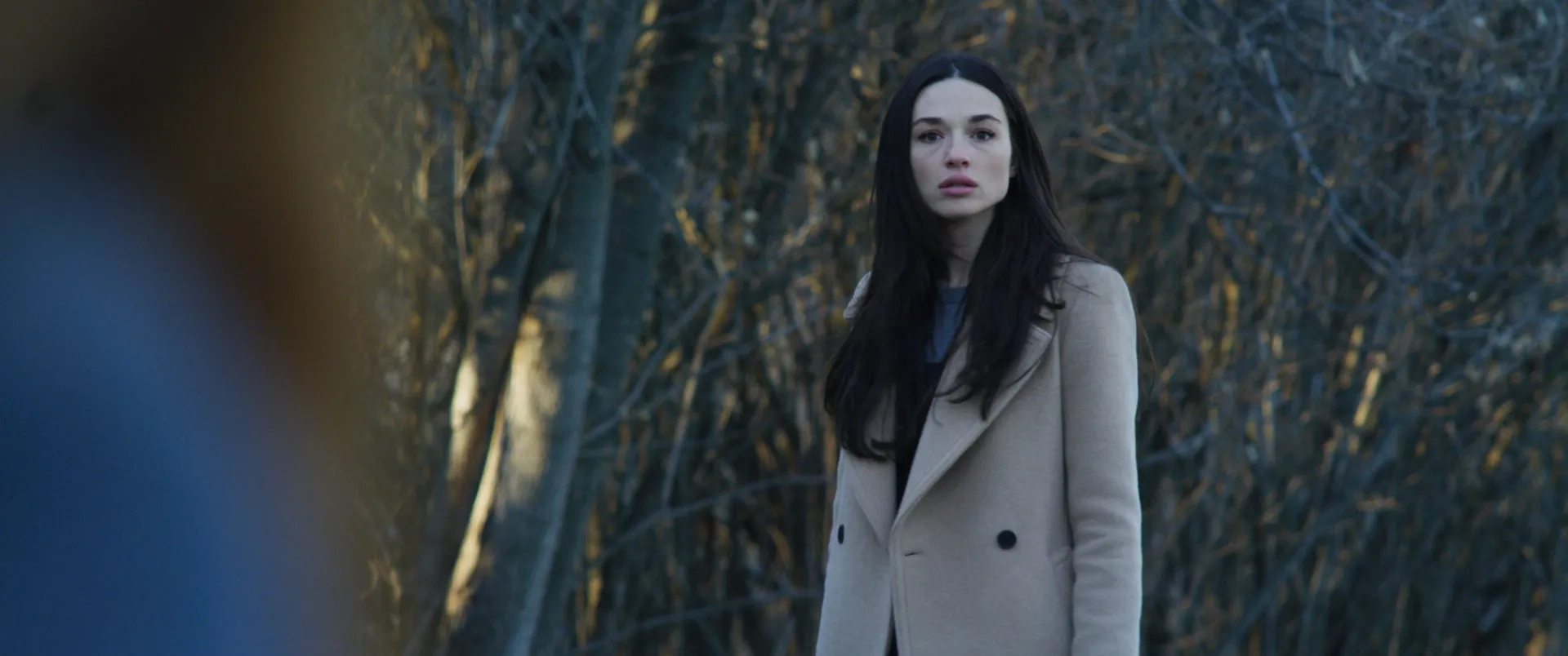 Crystal Reed in Incident in a Ghostland (2018)