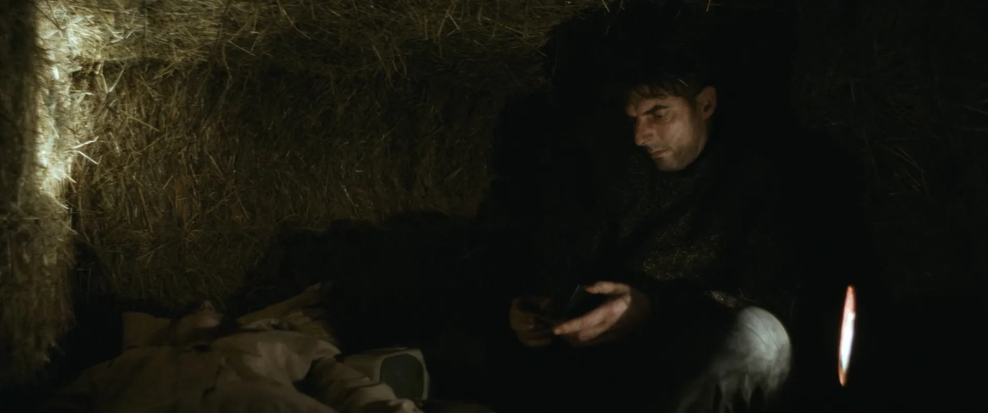 Only the Animals (2019)
